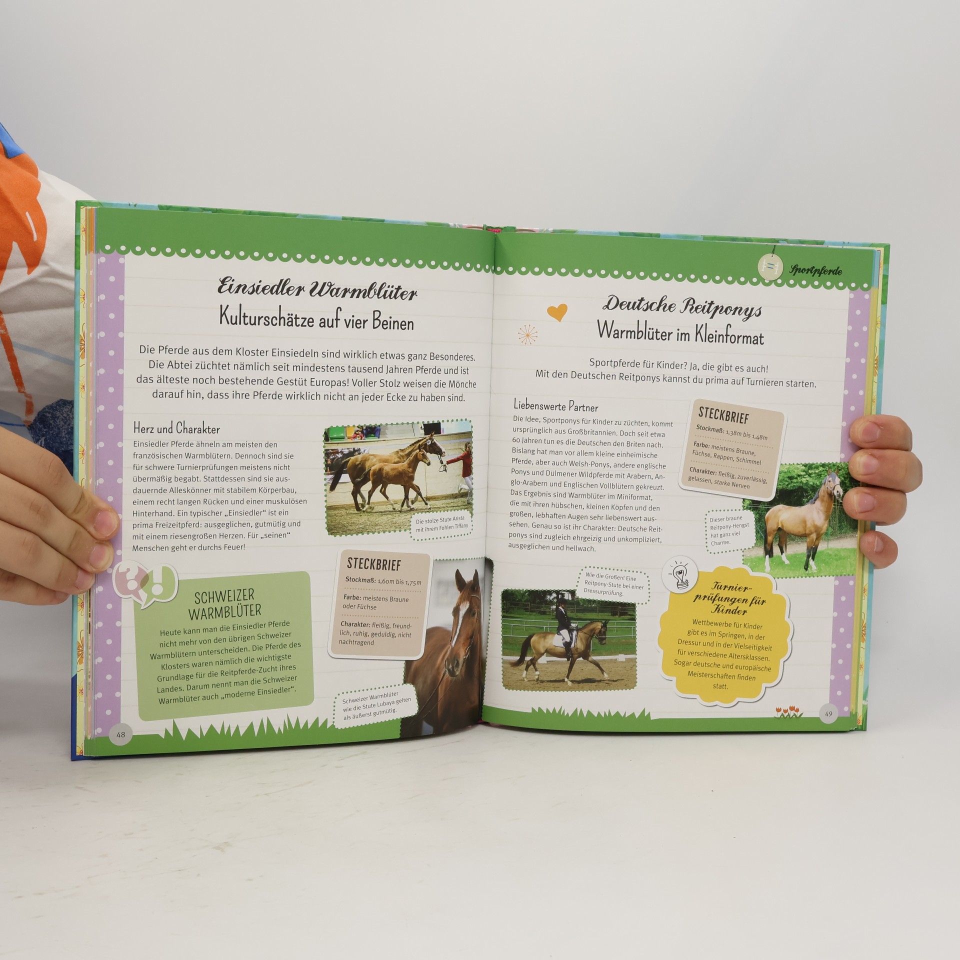 Angela Waidmann Wunderbare Welt der Pferde & Ponys