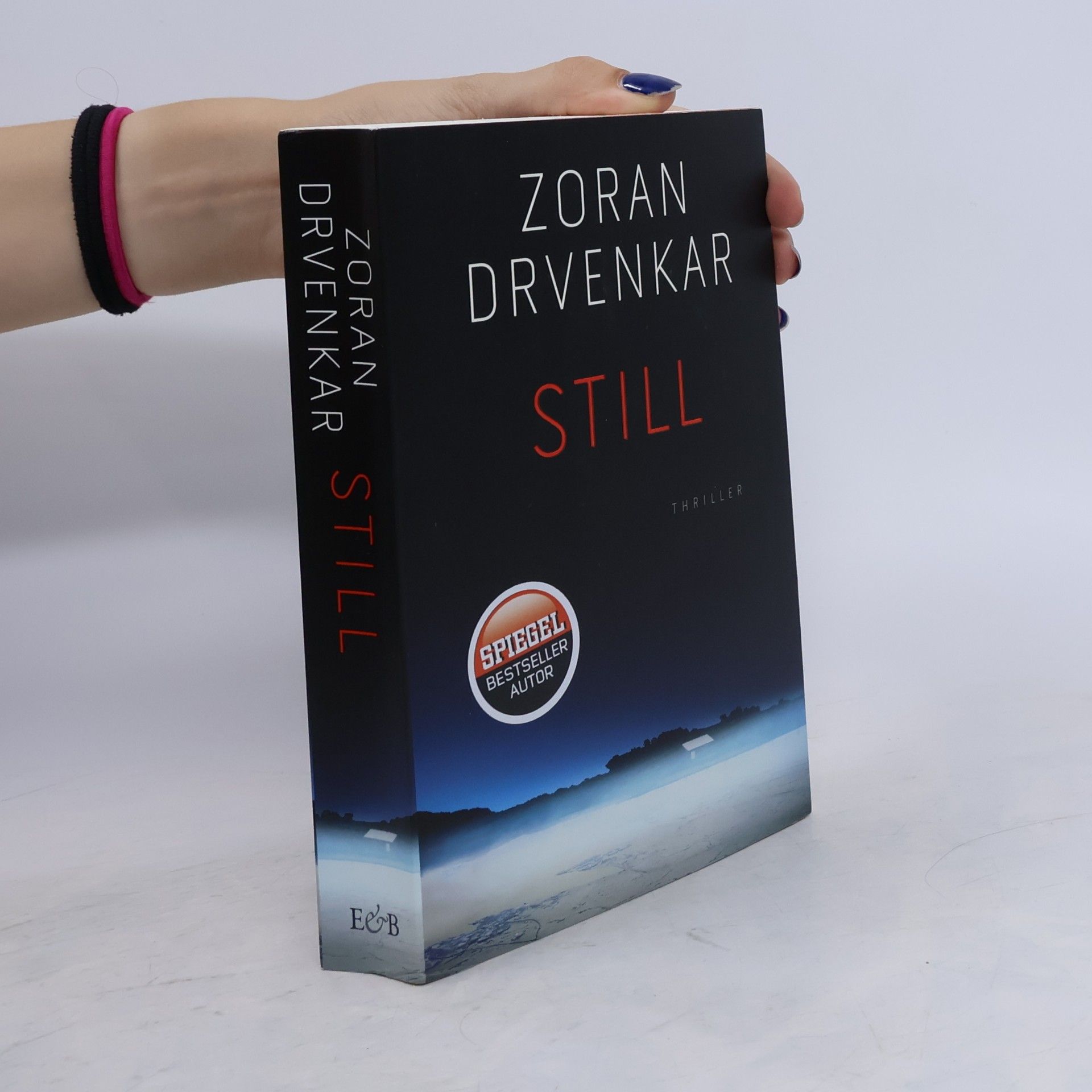 Zoran Drvenkar Still