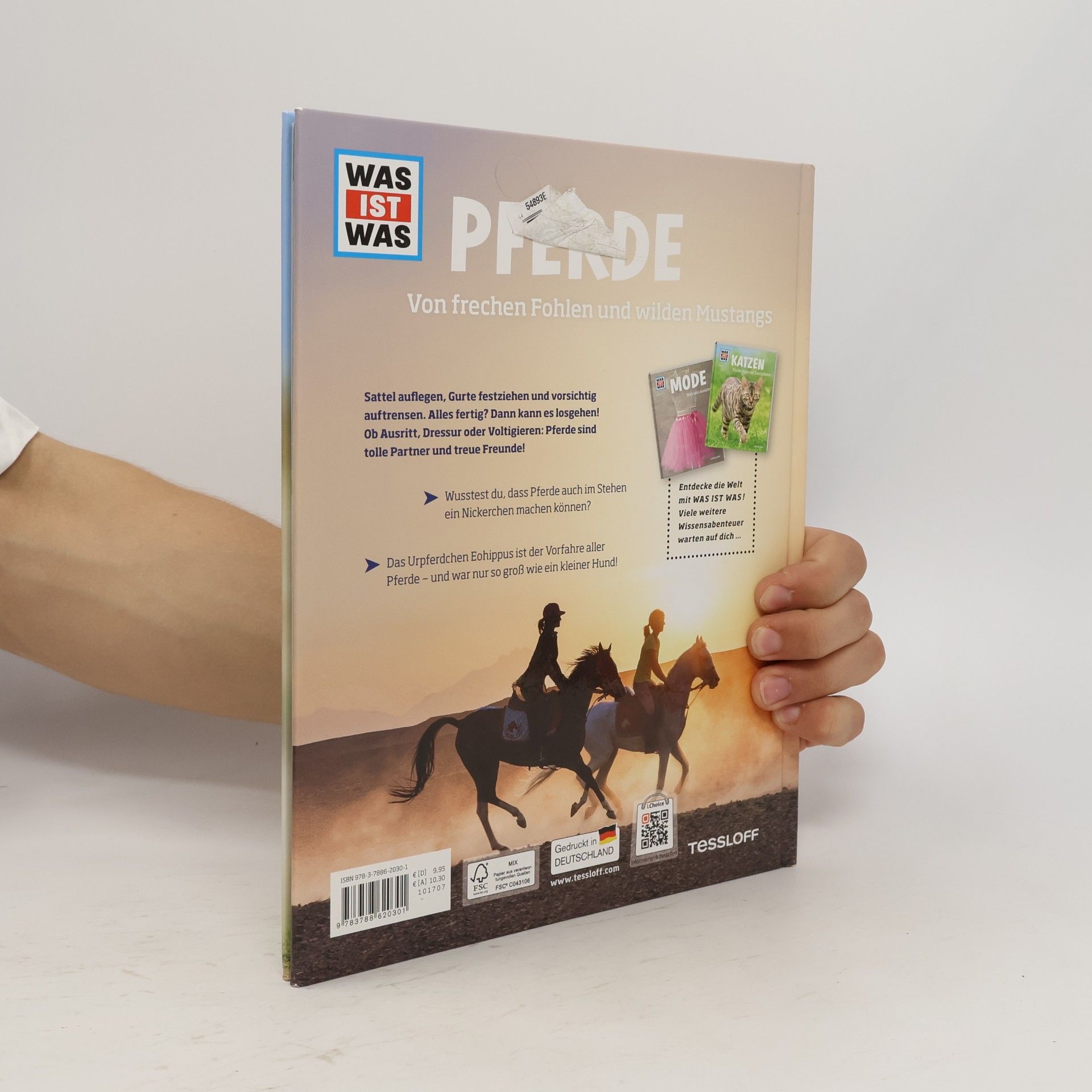 Silke Behling Pferde. Von frechen Fohlen und wilden Mustangs.