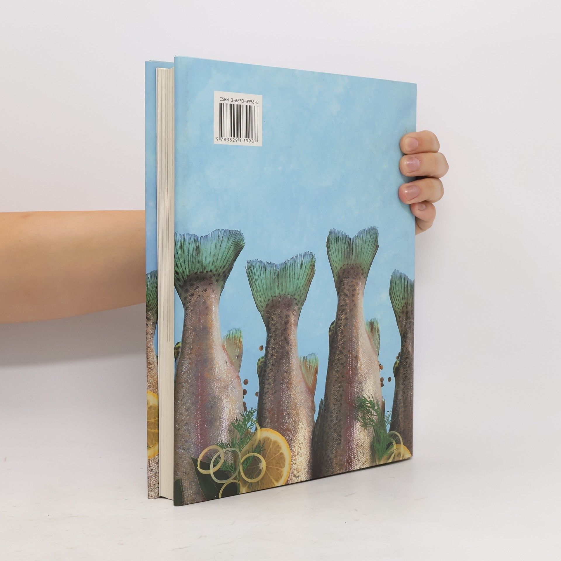 Autorenkollektiv Das grosse Kochbuch der Fische & Meeresfrüchte