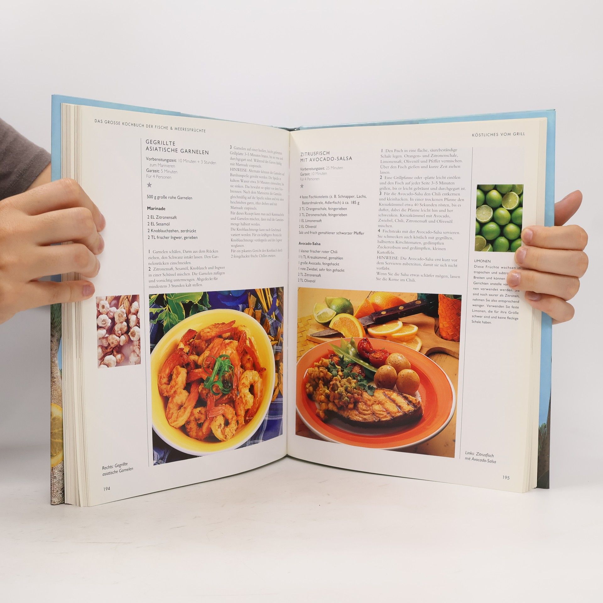 Autorenkollektiv Das grosse Kochbuch der Fische & Meeresfrüchte