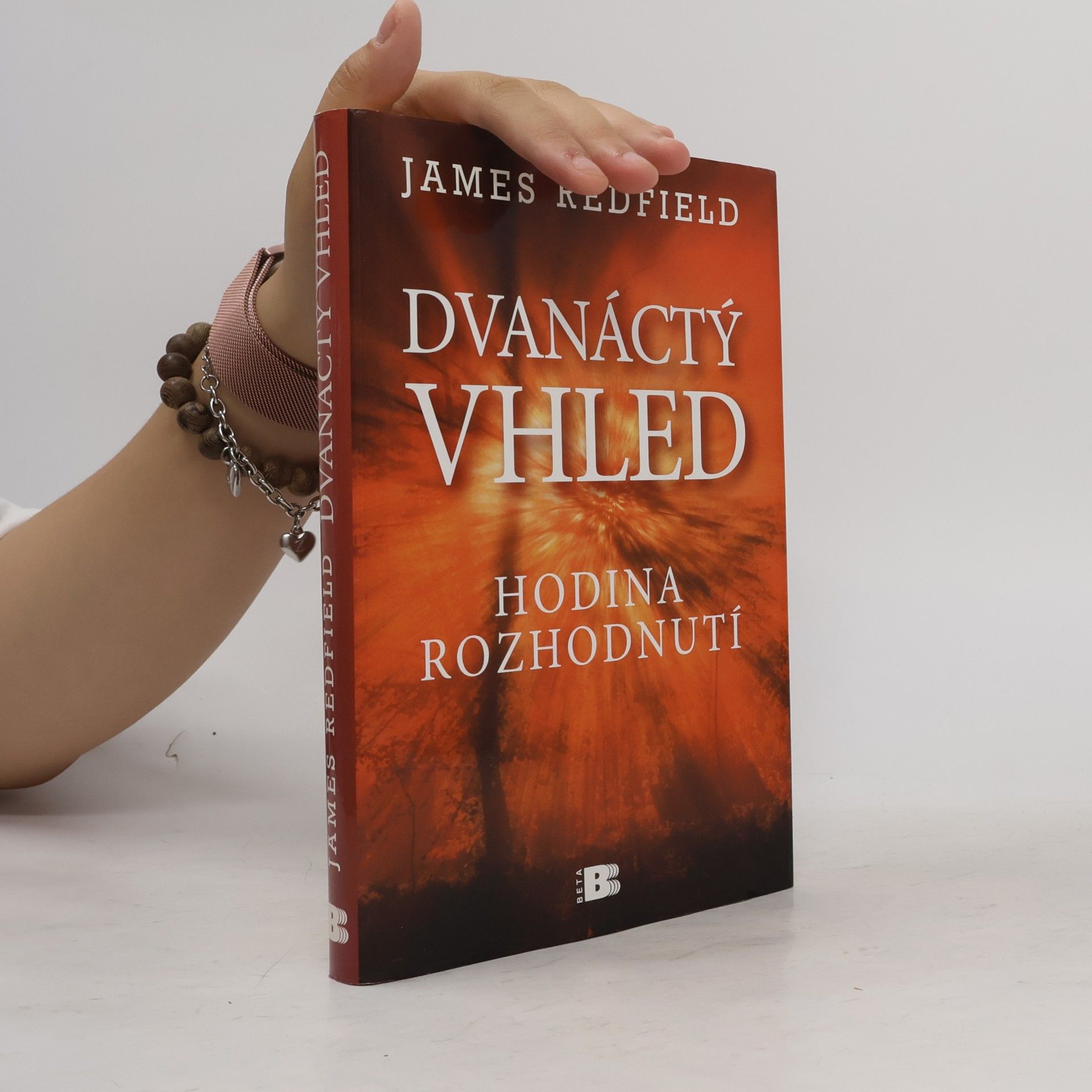 James Redfield Dvanáctý vhled