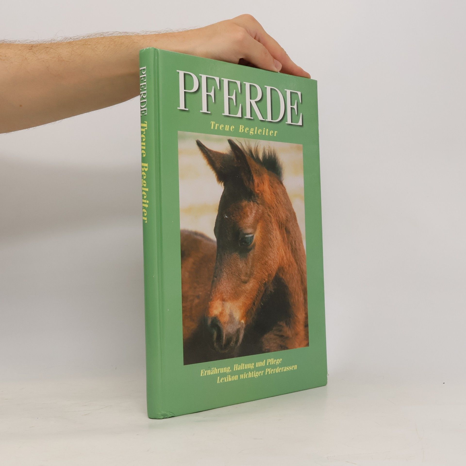Kolektiv autorů Pferde: treue Begleiter