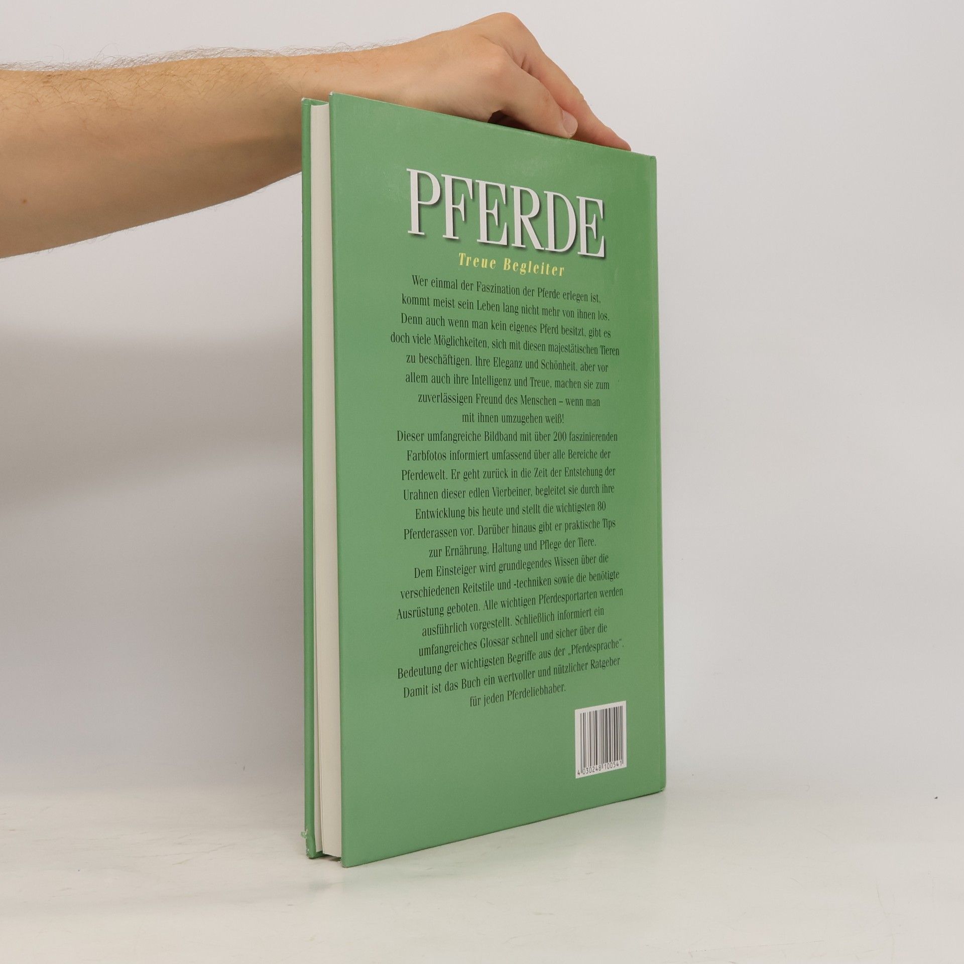 Autorenkollektiv Pferde: treue Begleiter