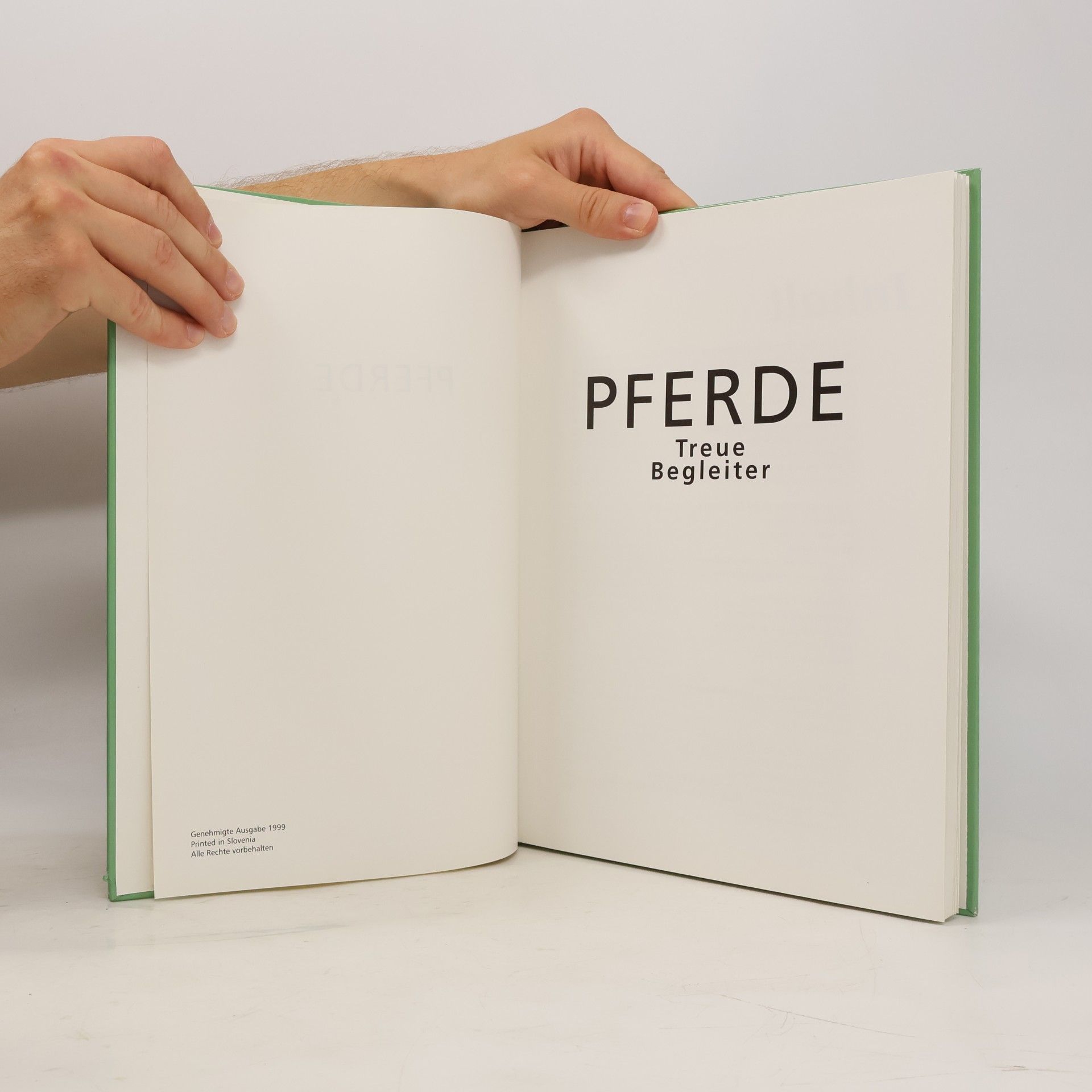 Autorenkollektiv Pferde: treue Begleiter