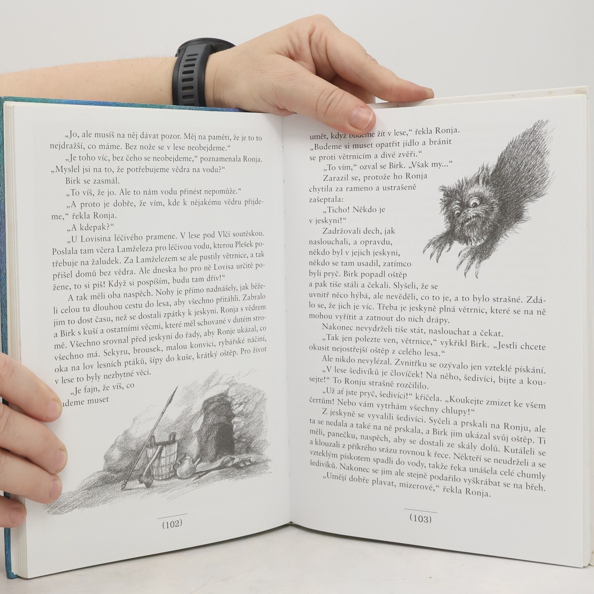 Astrid Lindgren Ronja, dcera loupežníka