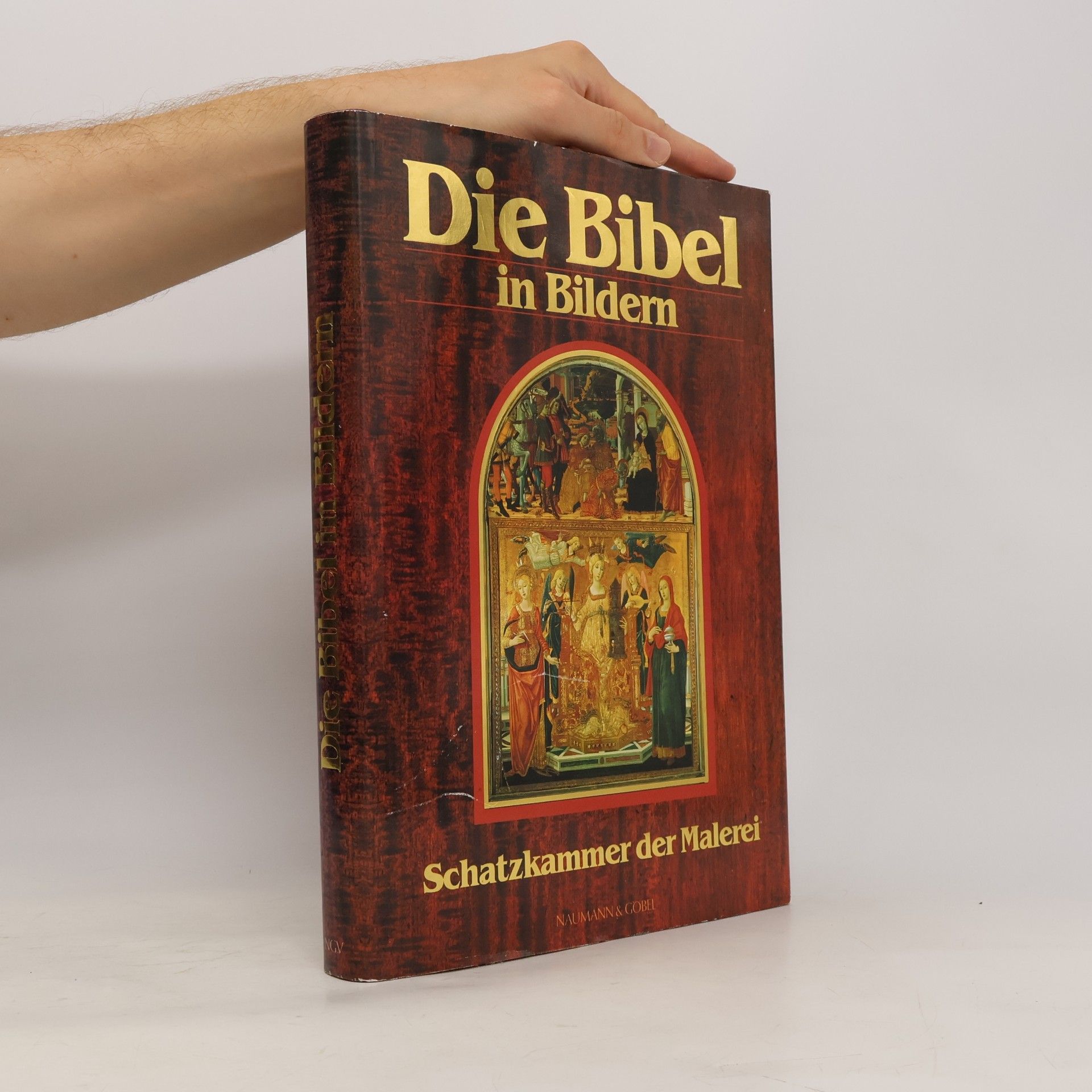 Various authors Die Bibel in Bildern. Schatzkammer der Malerei