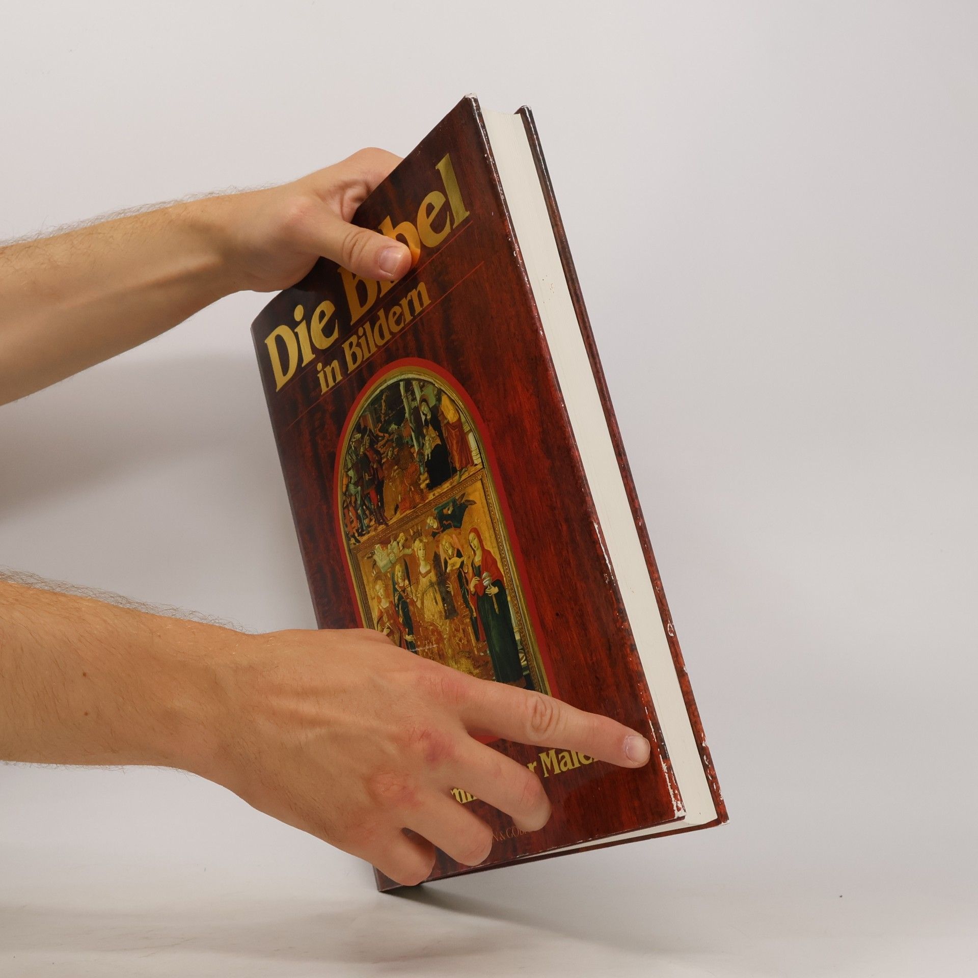 Various authors Die Bibel in Bildern. Schatzkammer der Malerei