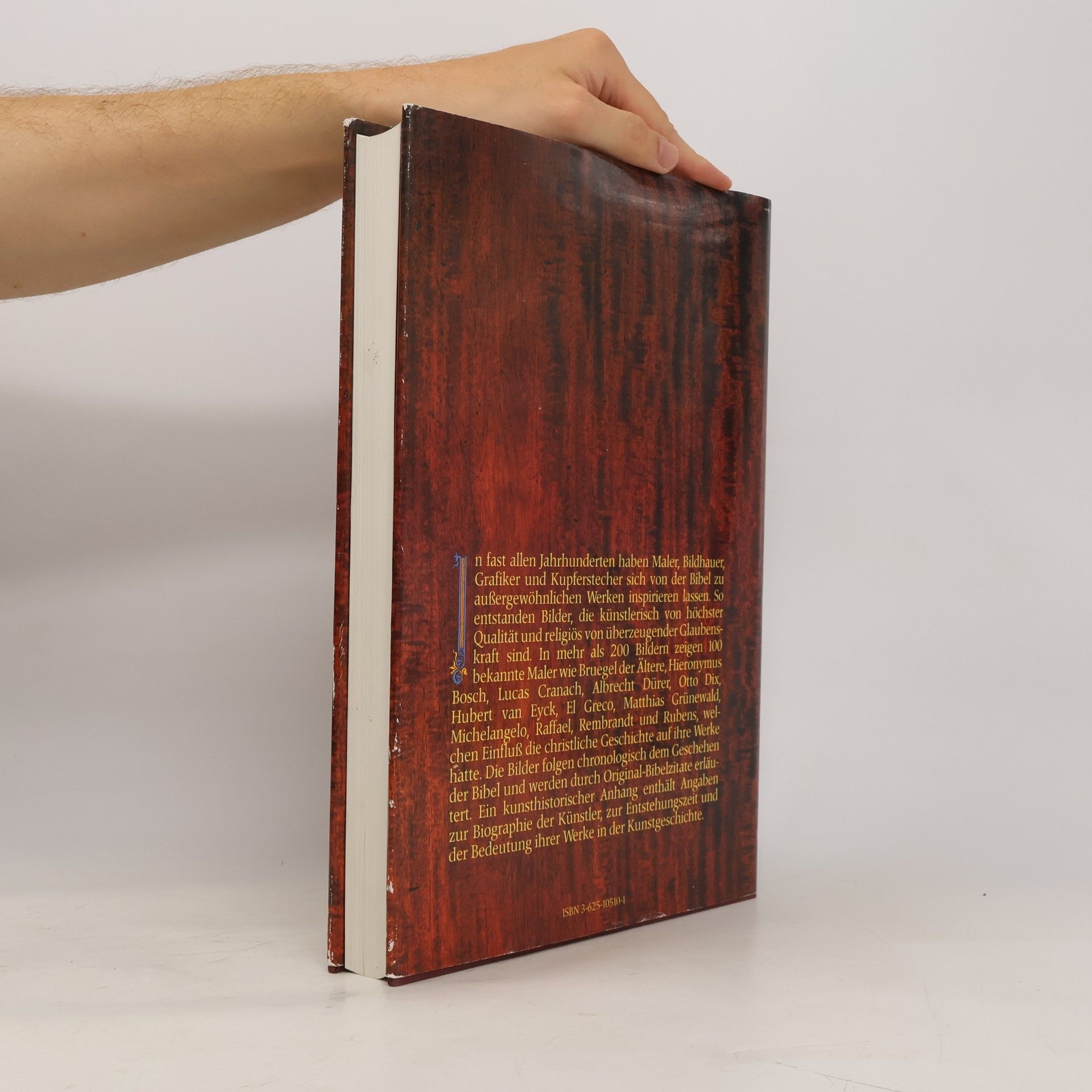 Various authors Die Bibel in Bildern. Schatzkammer der Malerei