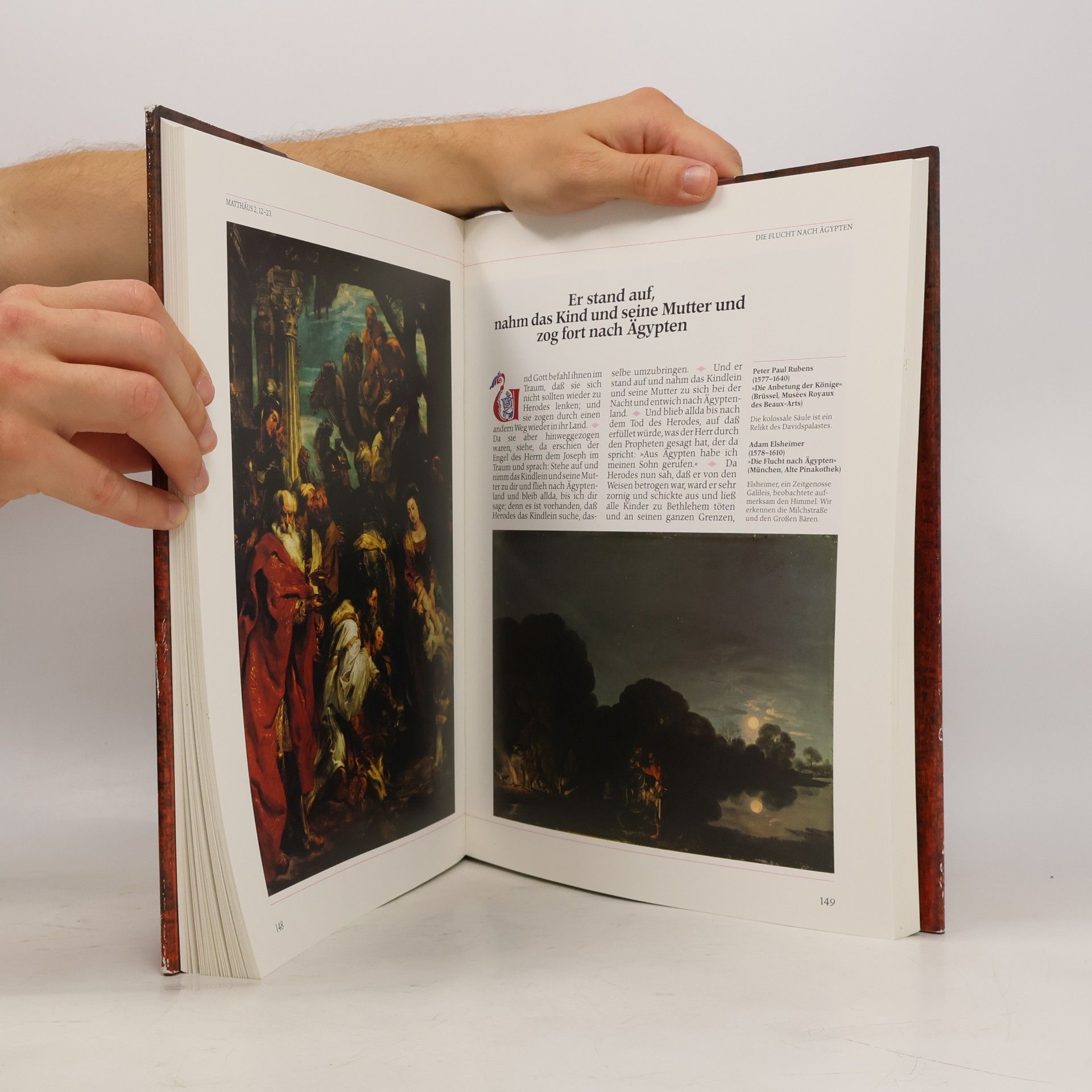 Various authors Die Bibel in Bildern. Schatzkammer der Malerei