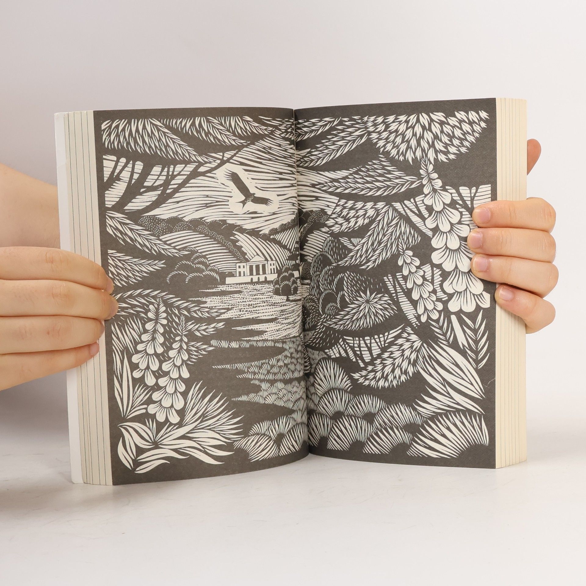 Nick Hayes The book of trespass. Crossing the lines that divide us