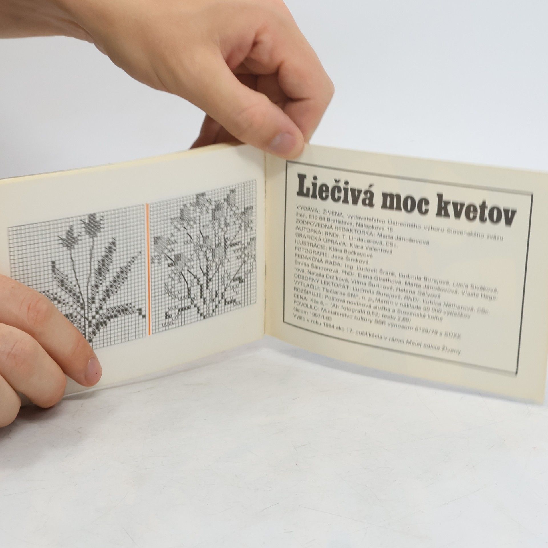 Kolektiv autorů Liečivá moc kvetov