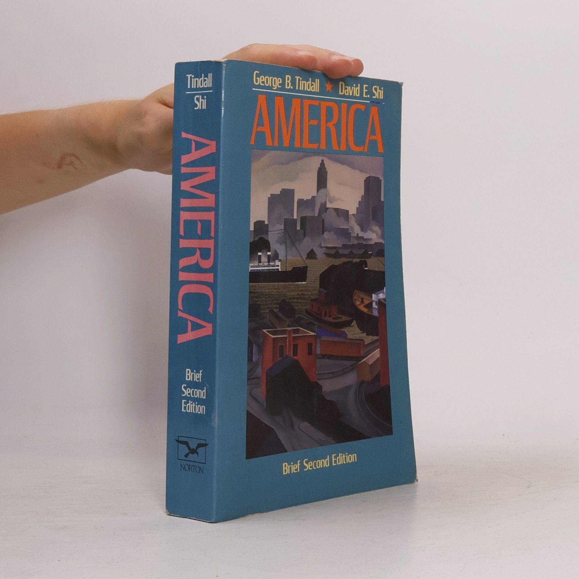 David E. Shi America