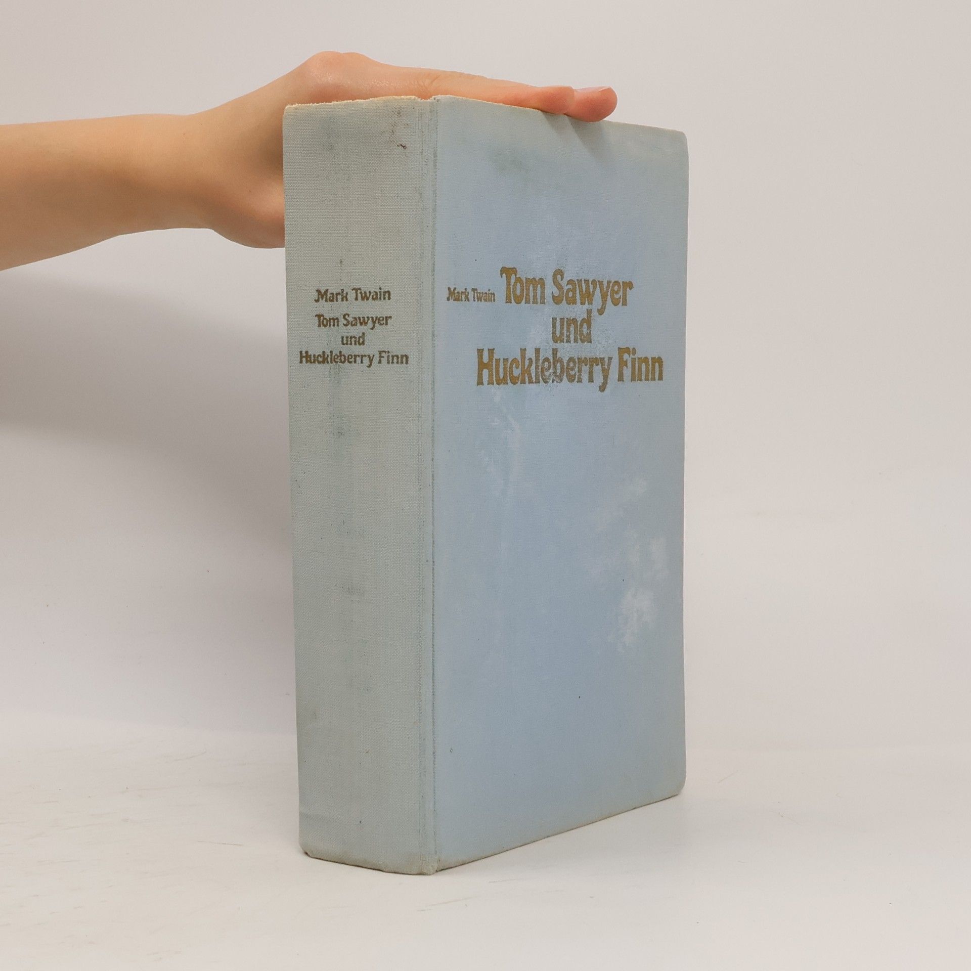 Mark Twain Tom Sawyer und Huckleberry Finn