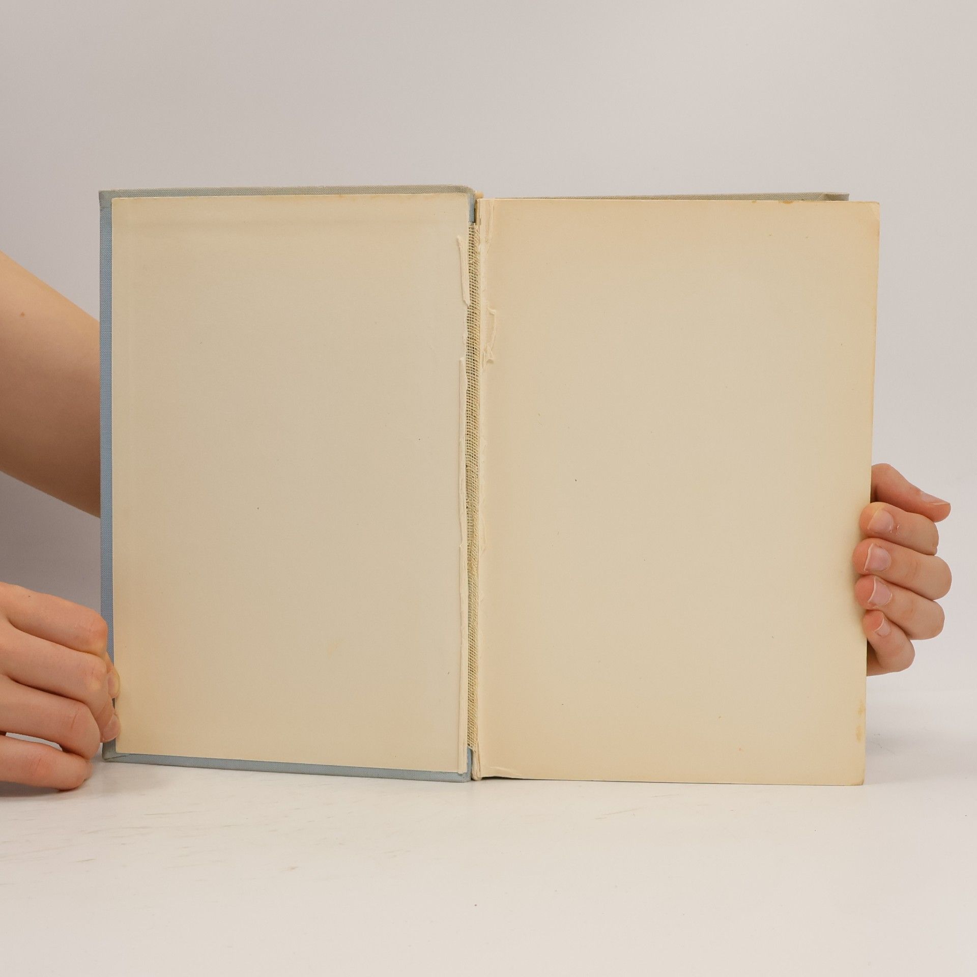 Mark Twain Tom Sawyer und Huckleberry Finn