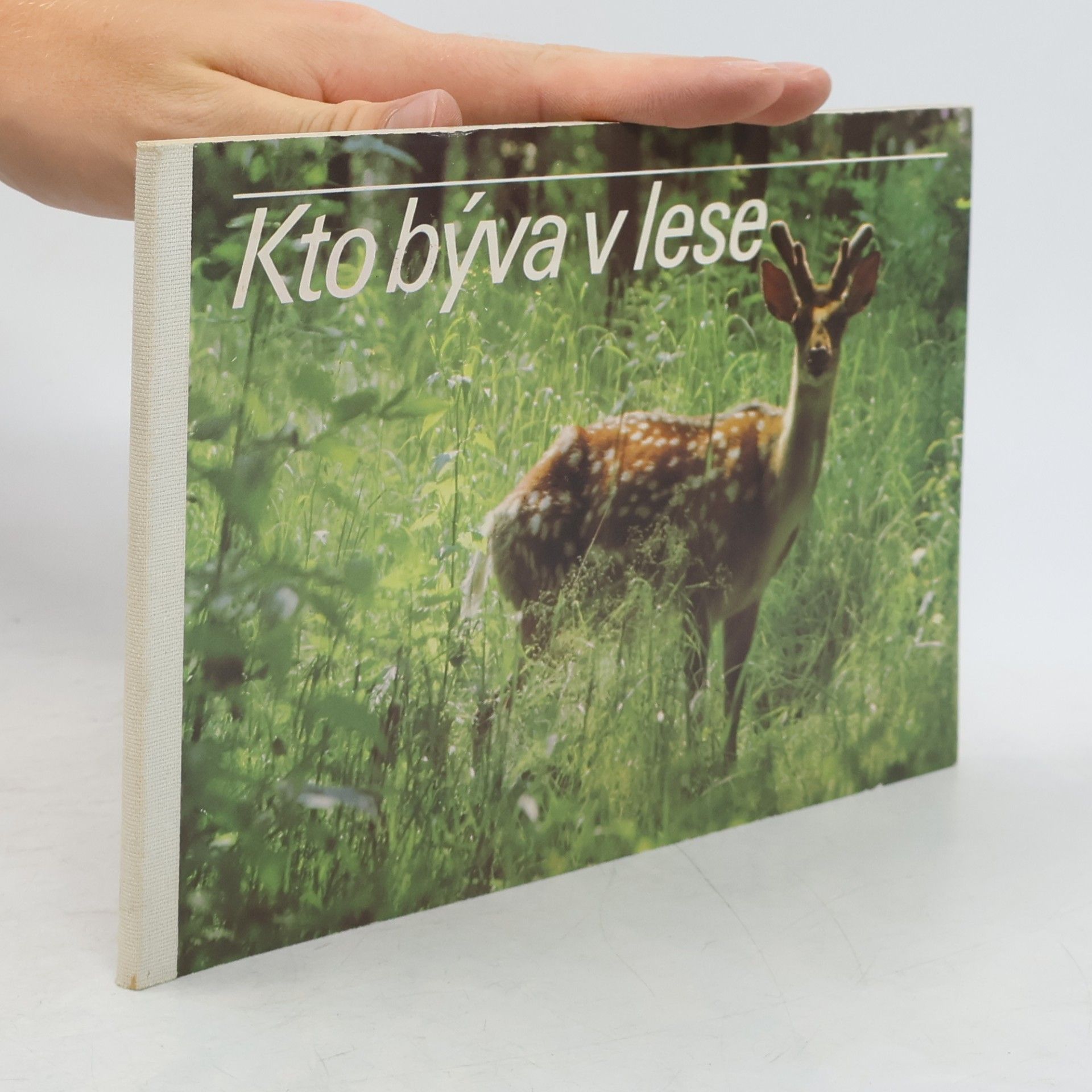 Zdeno Vlach Kto býva v lese