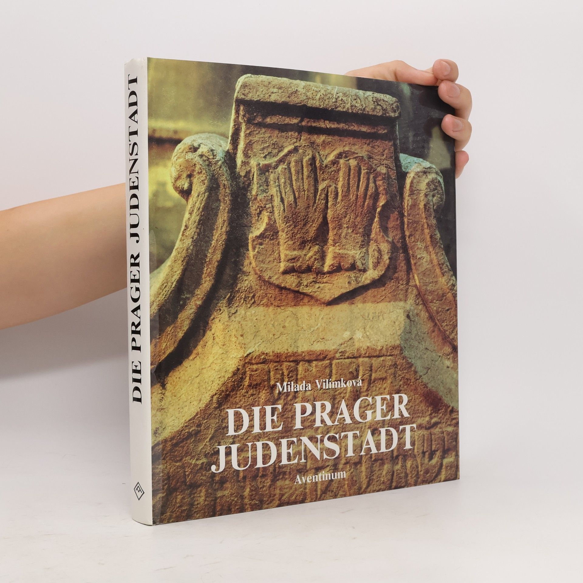 Milada Vilímková Die Prager Judenstadt
