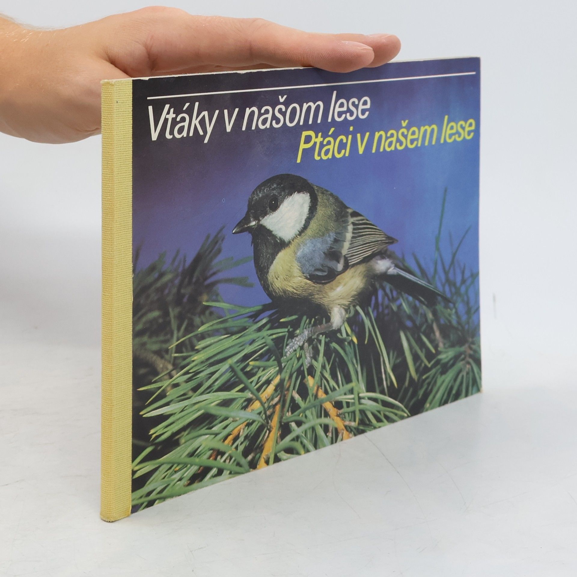 Autorenkollektiv Vtáky v našom lese. Ptáci v našem lese