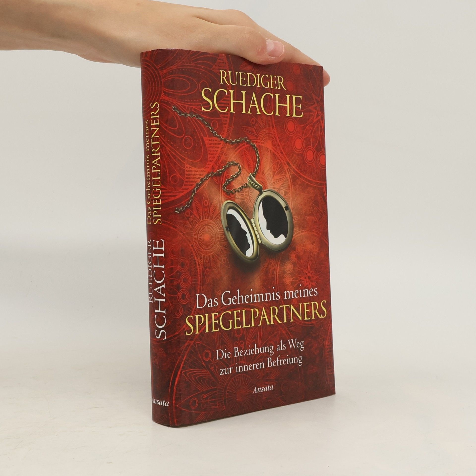 Ruediger Schache Das Geheimnis meines spiegelpartners