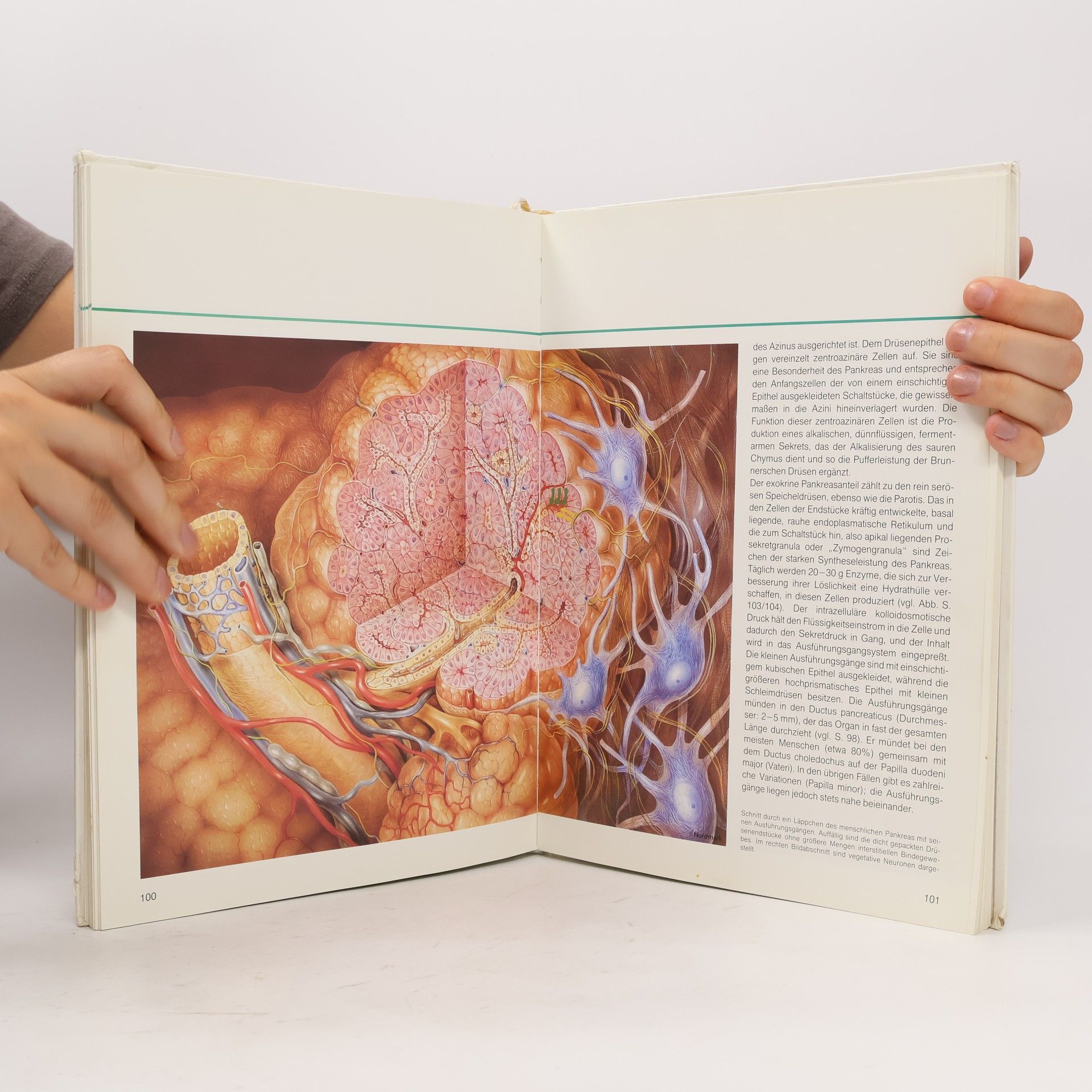 Rudolf Ottenjann Exempla Gastroenterologica