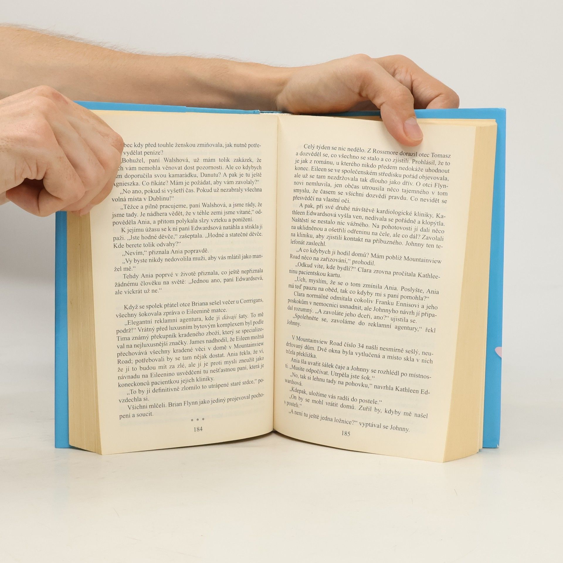 Maeve Binchy Srdce a duše