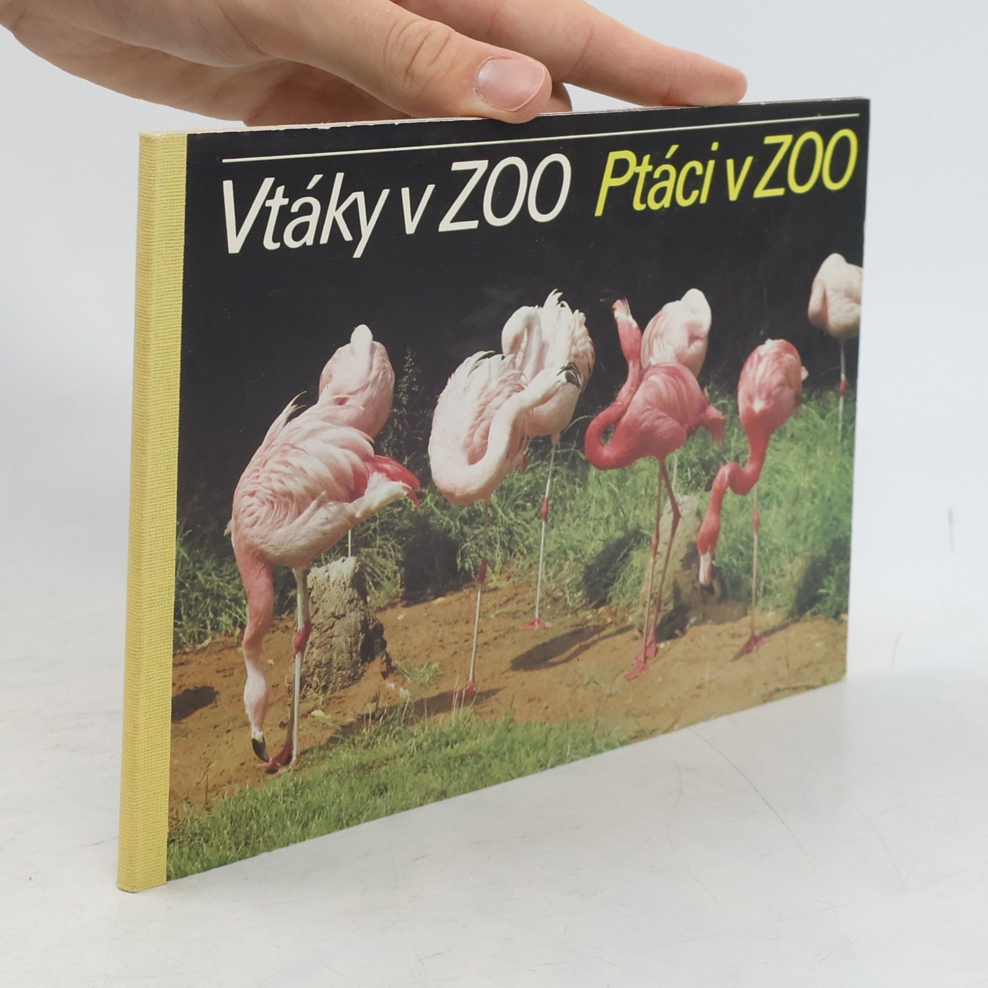 Various authors Vtáky v ZOO - Ptáci v ZOO