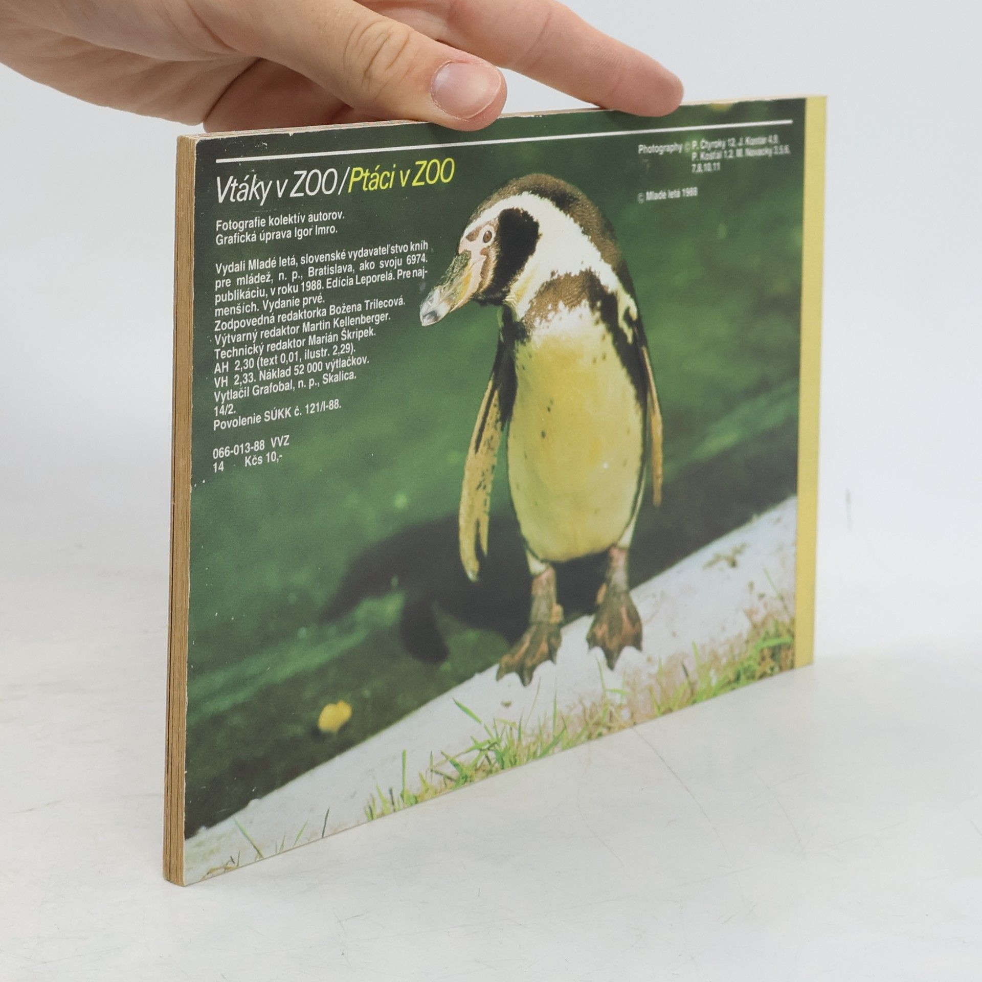 Autorenkollektiv Vtáky v ZOO - Ptáci v ZOO