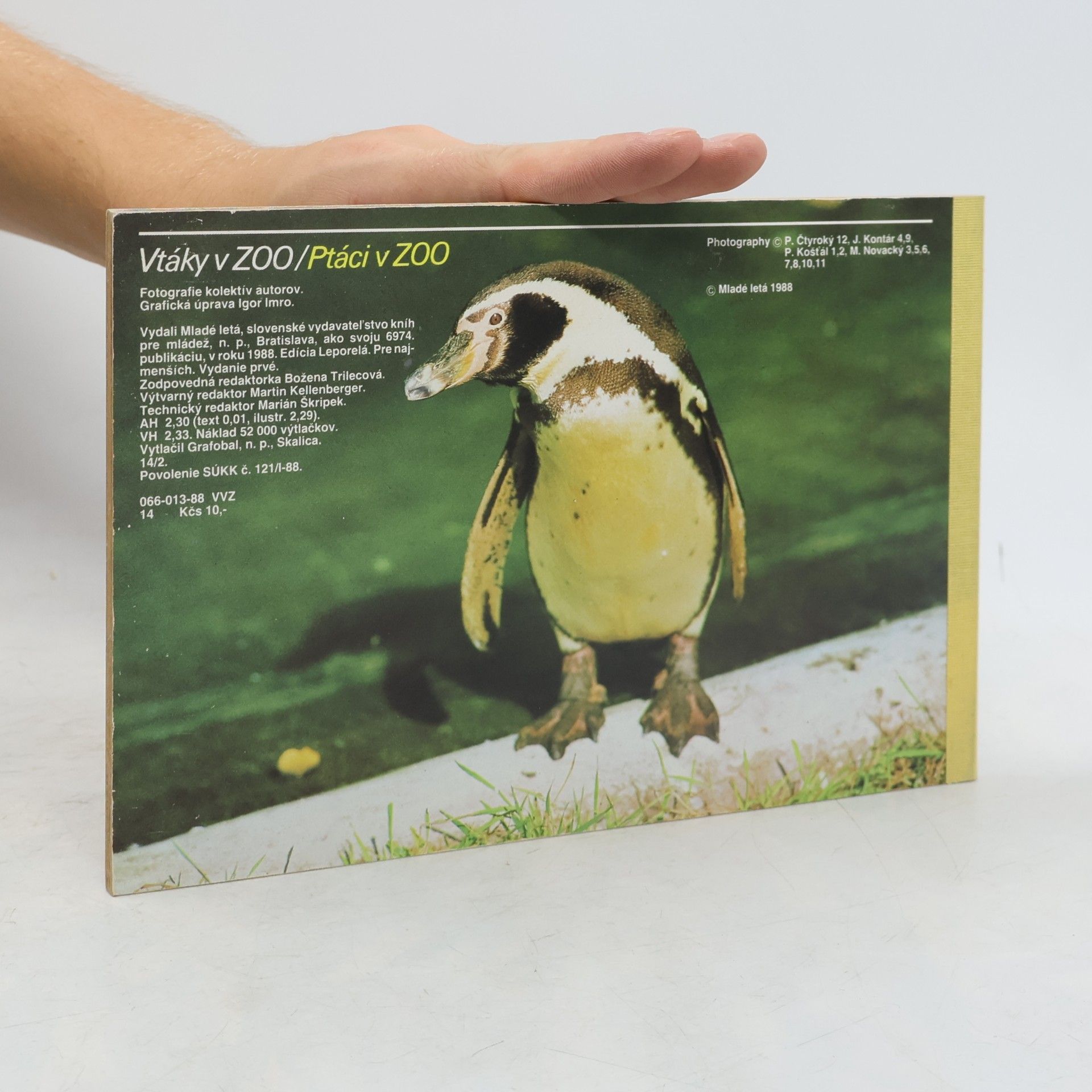 Autorenkollektiv Vtáky v ZOO - Ptáci v ZOO