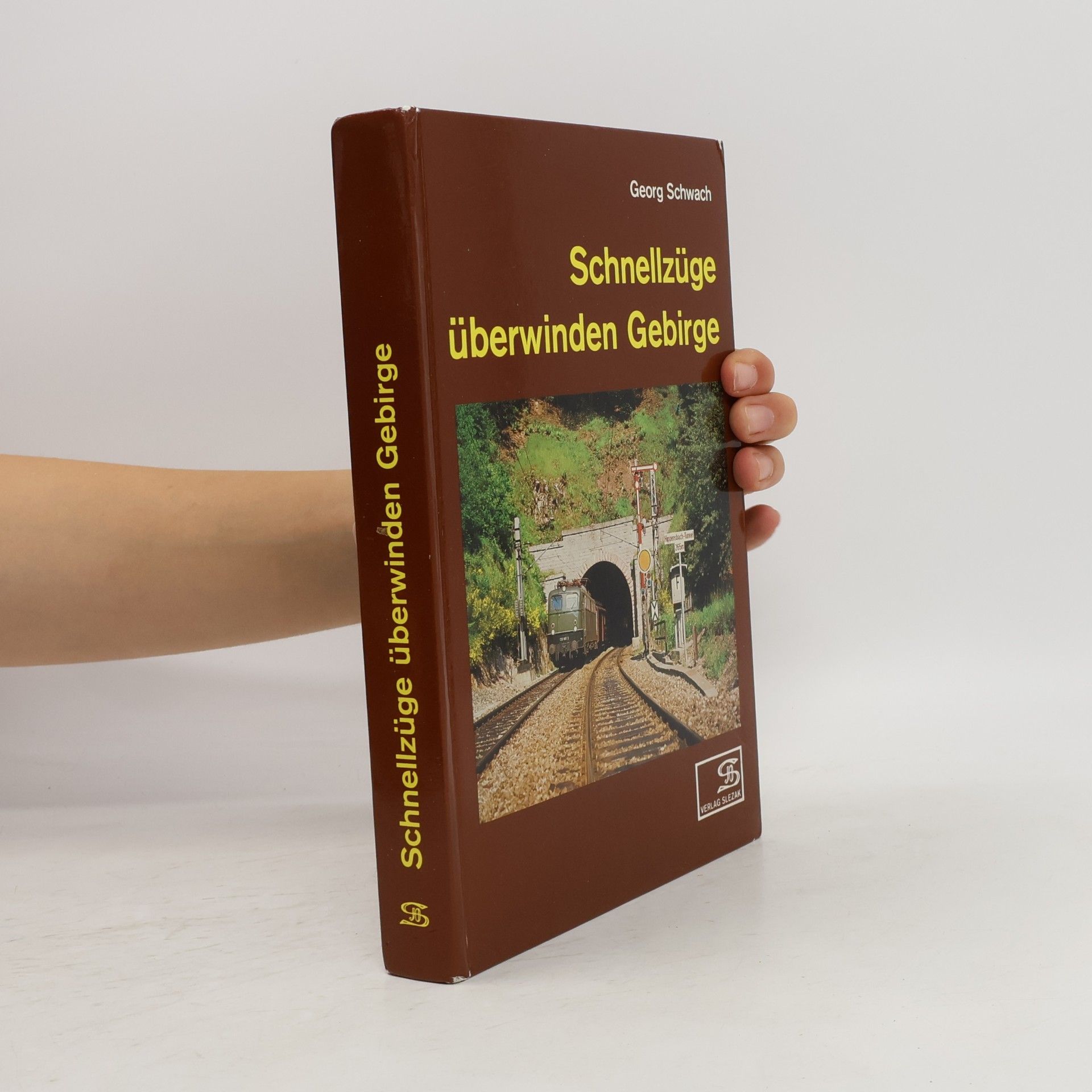 Georg Schwach Schnellzüge überwinden Gebirge