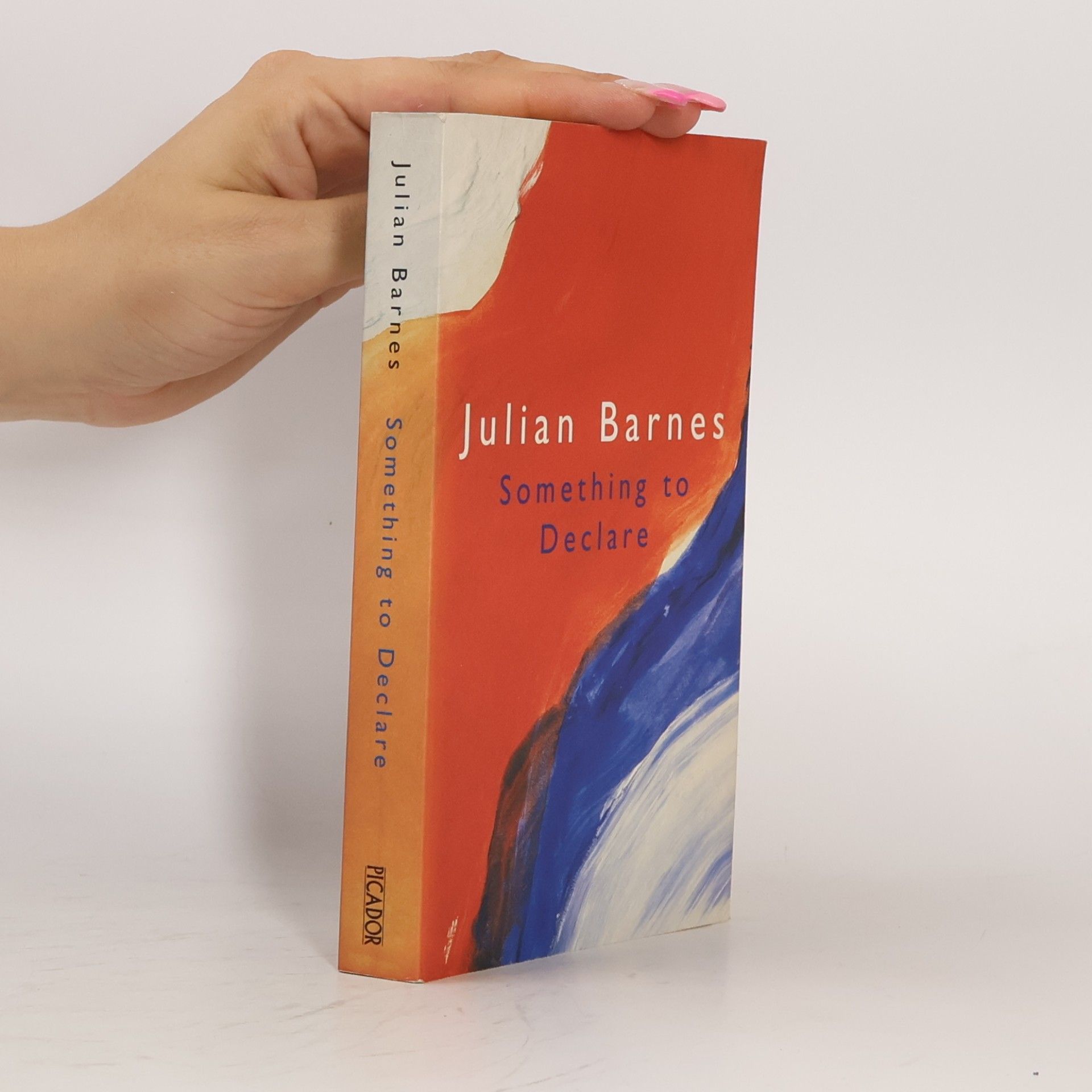 Julian Barnes Something to declare