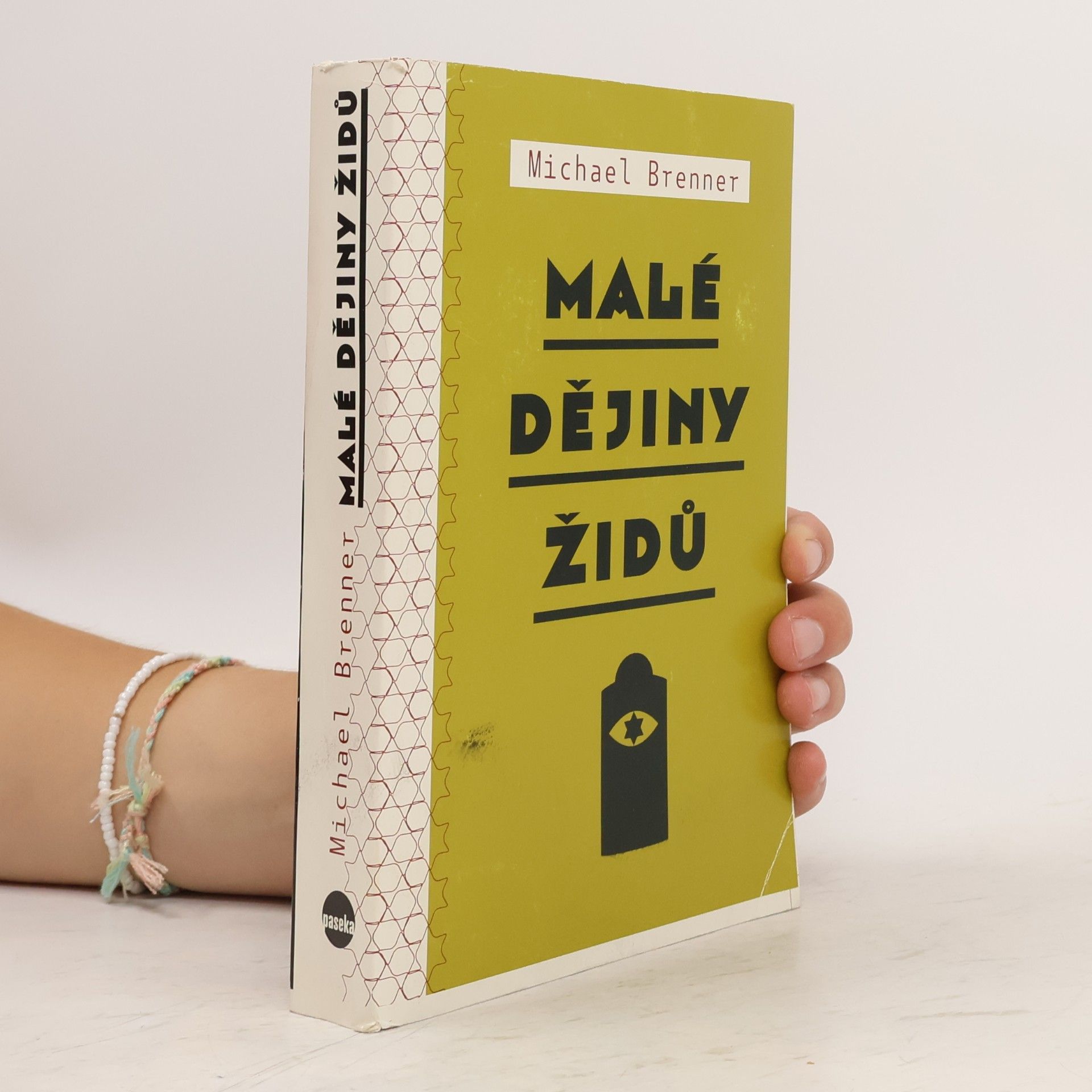 Michael Brenner Malé dějiny Židů