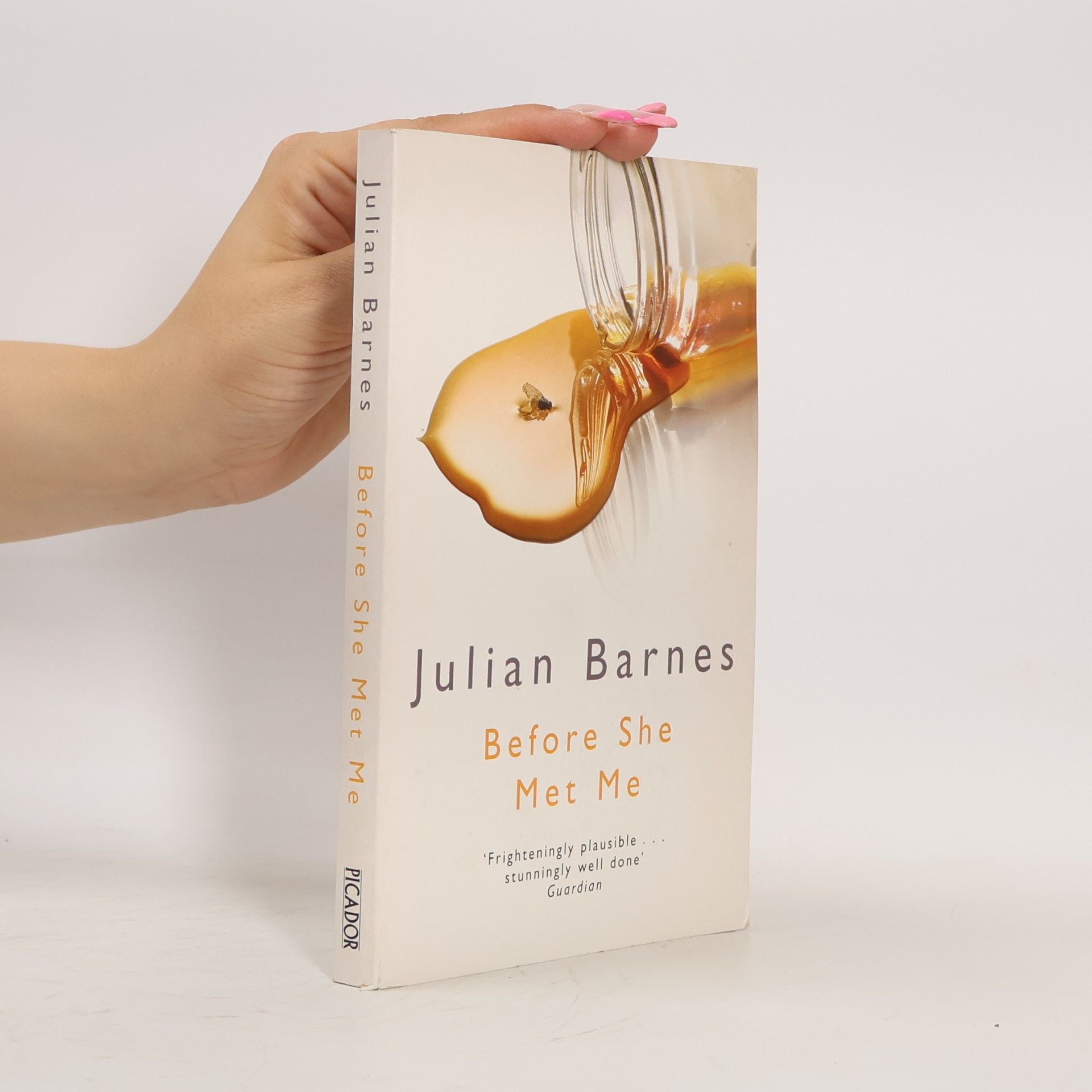 Julian Barnes Before She Met Me