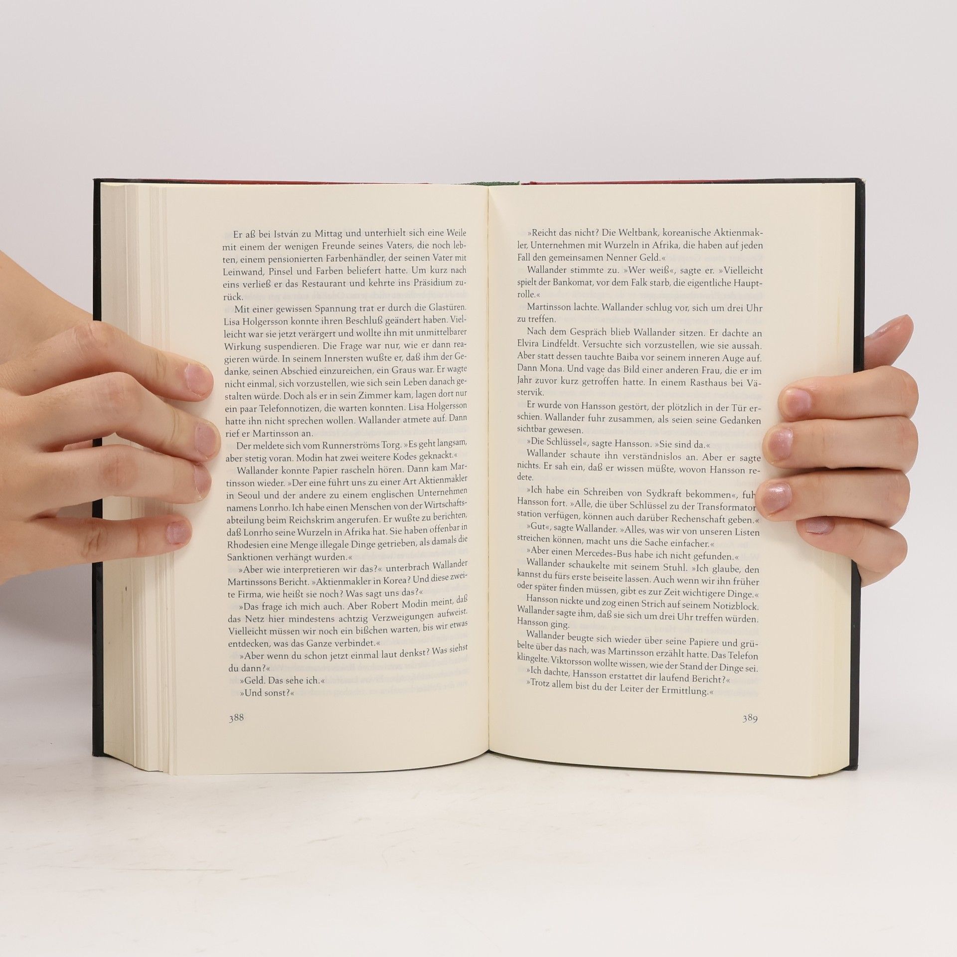 Henning Mankell Die Brandmauer