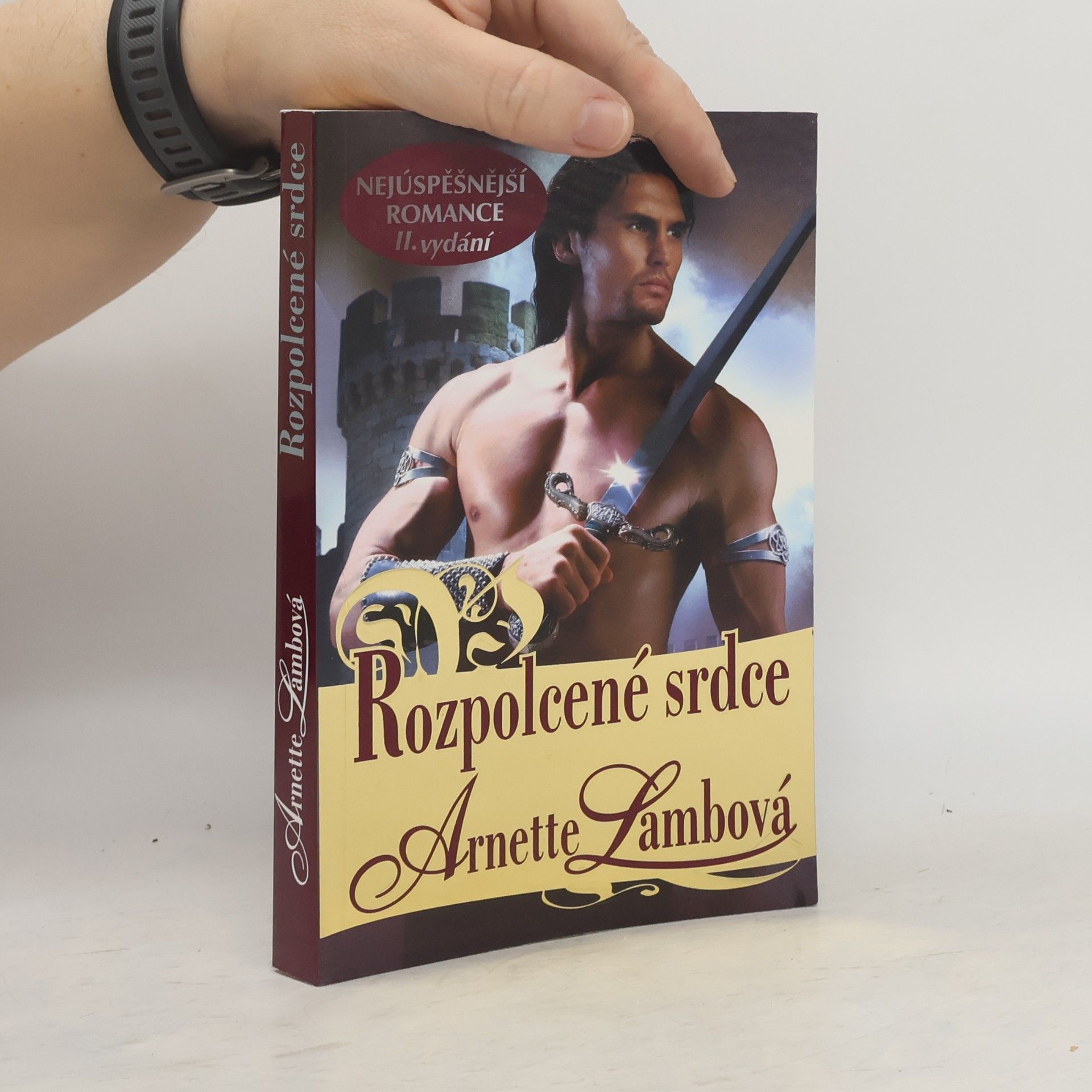 Arnette Lamb Rozpolcené srdce