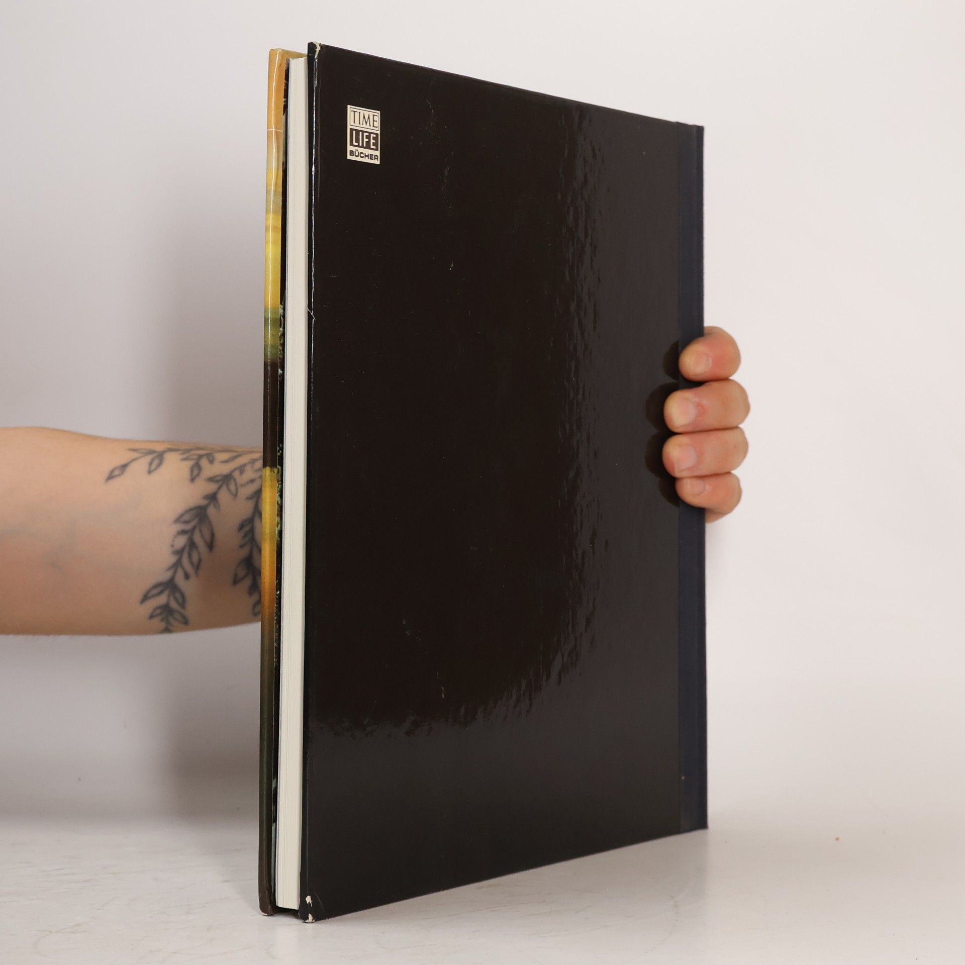 Autorenkollektiv Lappland. Die Wildnisse der Welt/Time-Life Bücher