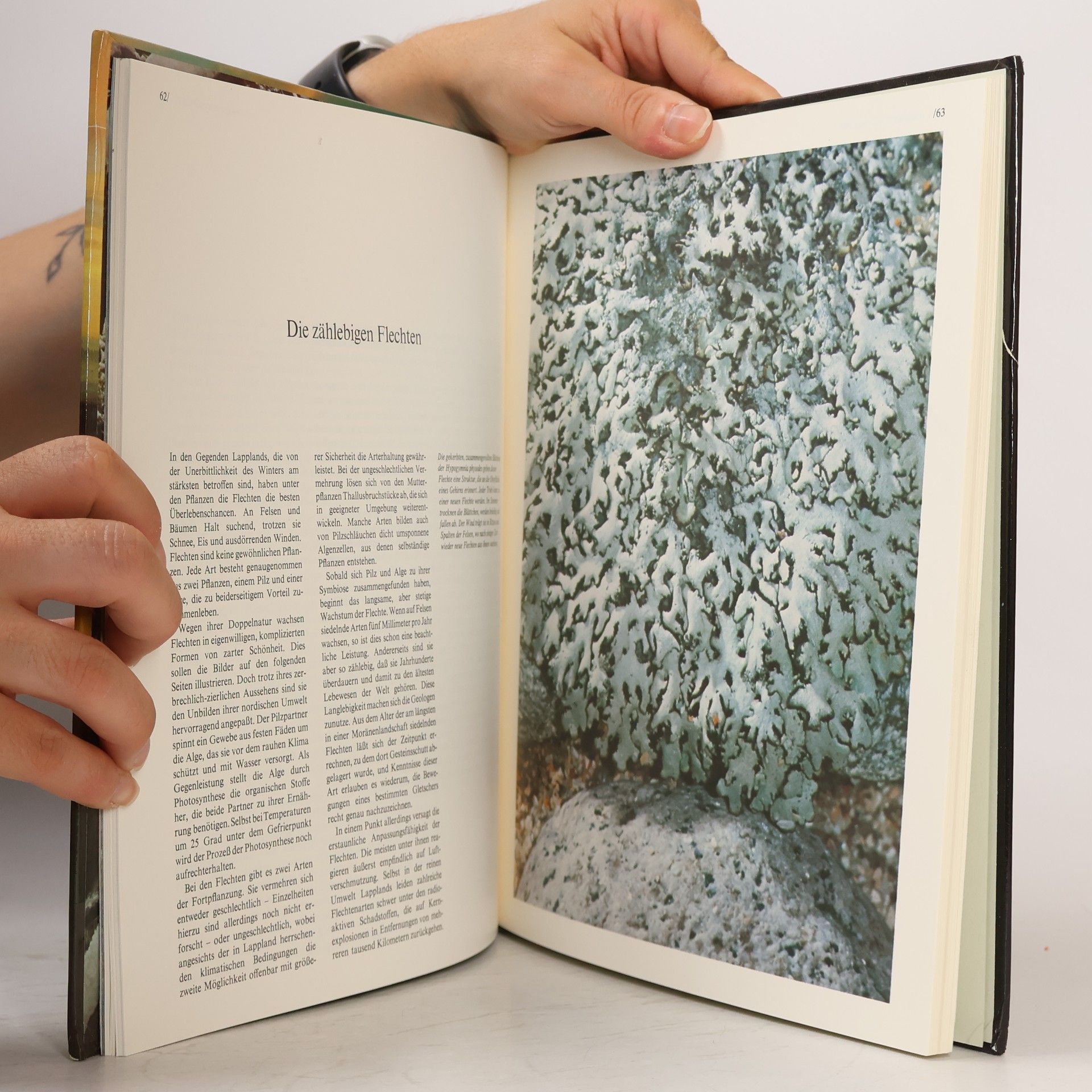Autorenkollektiv Lappland. Die Wildnisse der Welt/Time-Life Bücher