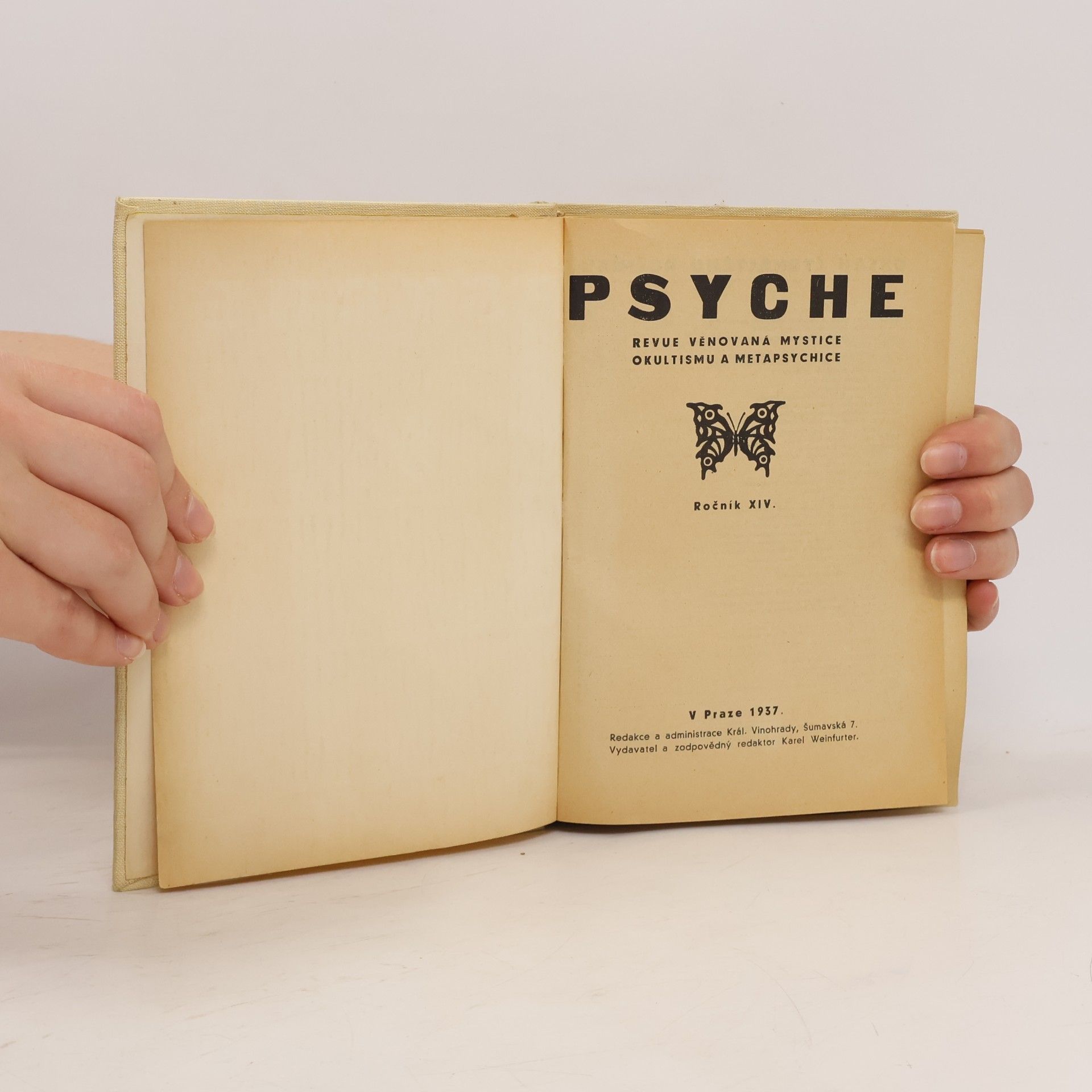 Kolektív autorov Psyche XIV.