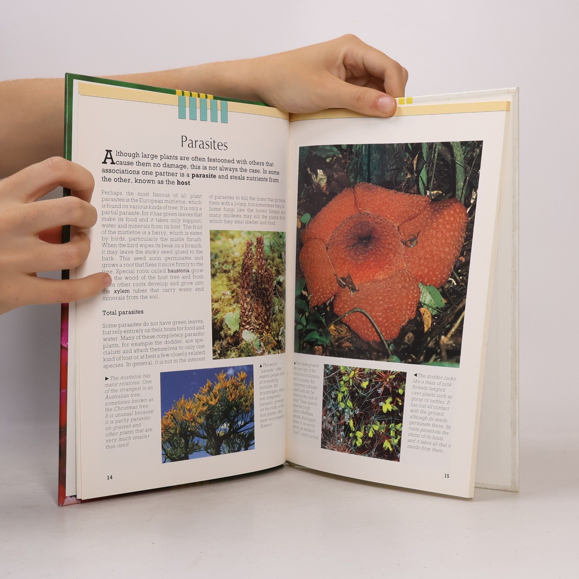 Joyce Pope Plant Life: Plant Partnerships
