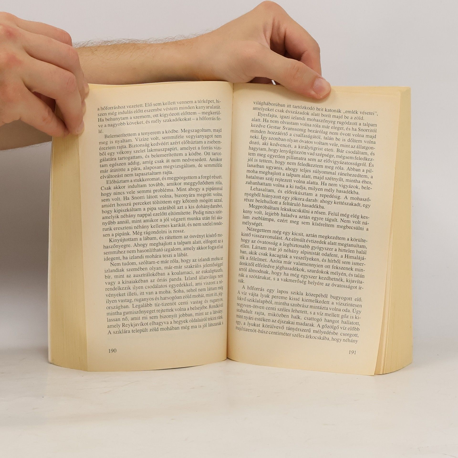 Leslie L. Lawrence Véresszakállú leif és a lávamező