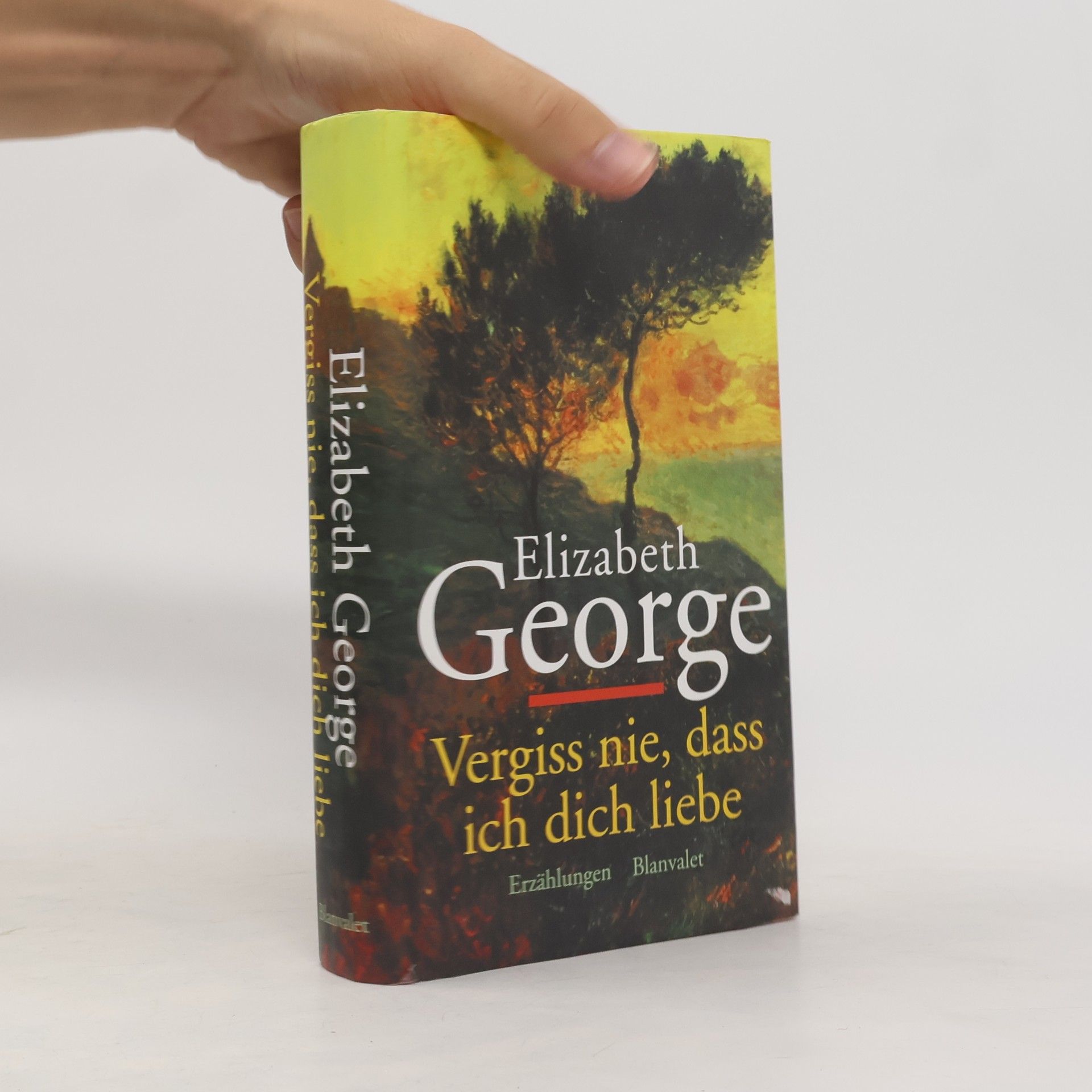 Elizabeth George Vergiss nie, daß ich Dich liebe.