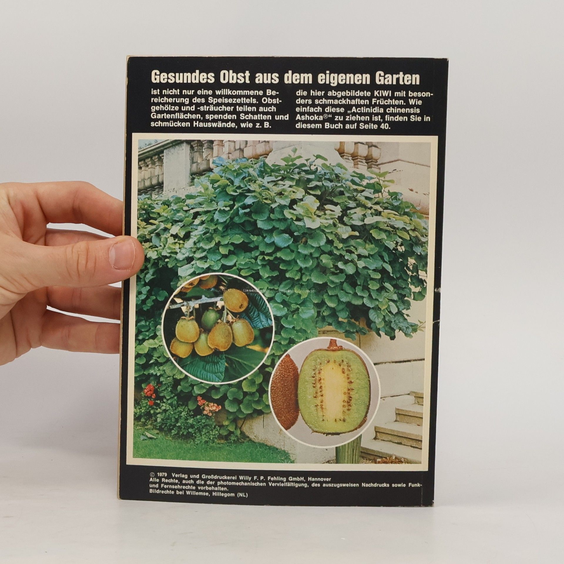 kolektiv Obst im Hausgarten
