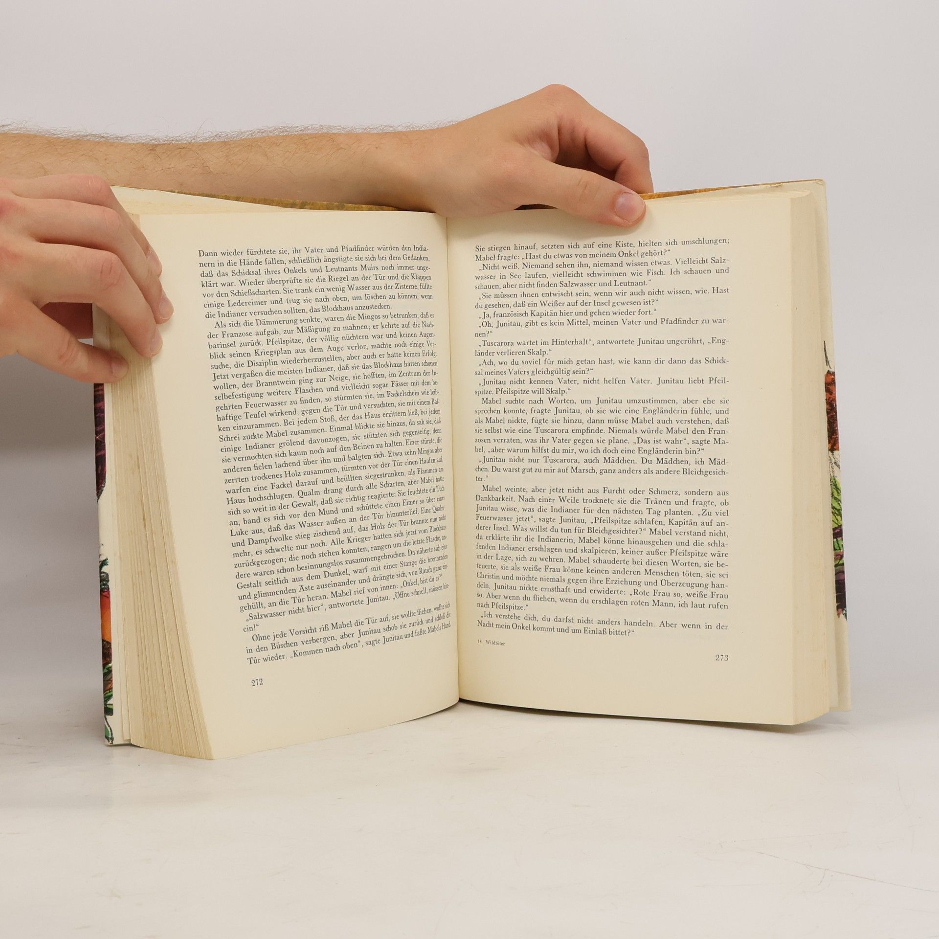 James Fenimore Cooper Wildtöter und Große Schlange