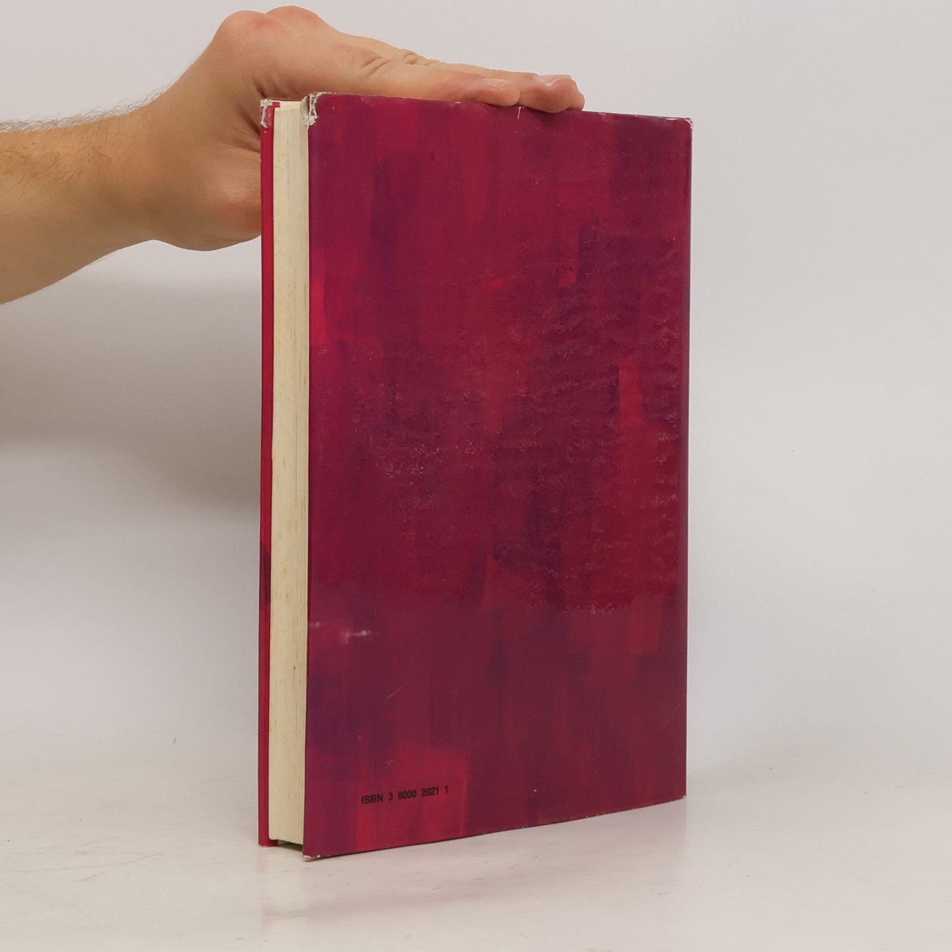 Frances Hodgson Burnett Der kleine Lord