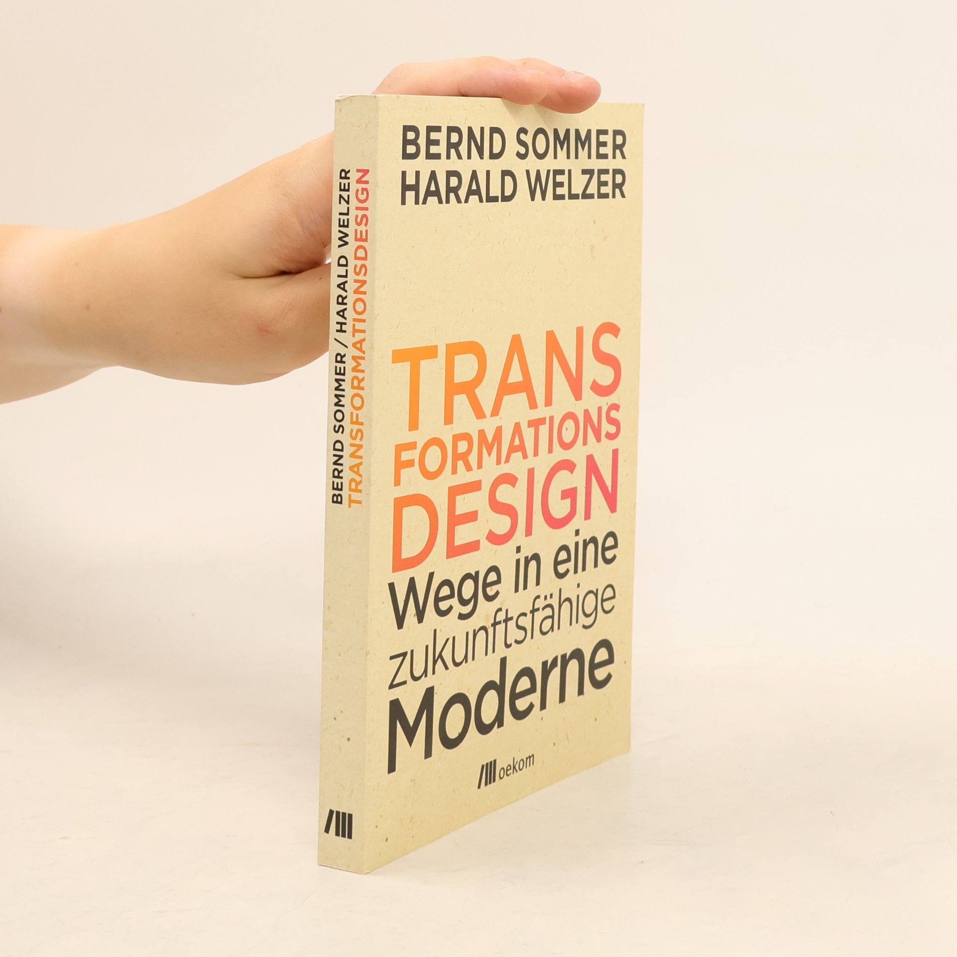 Bernd Sommer Transformationsdesign