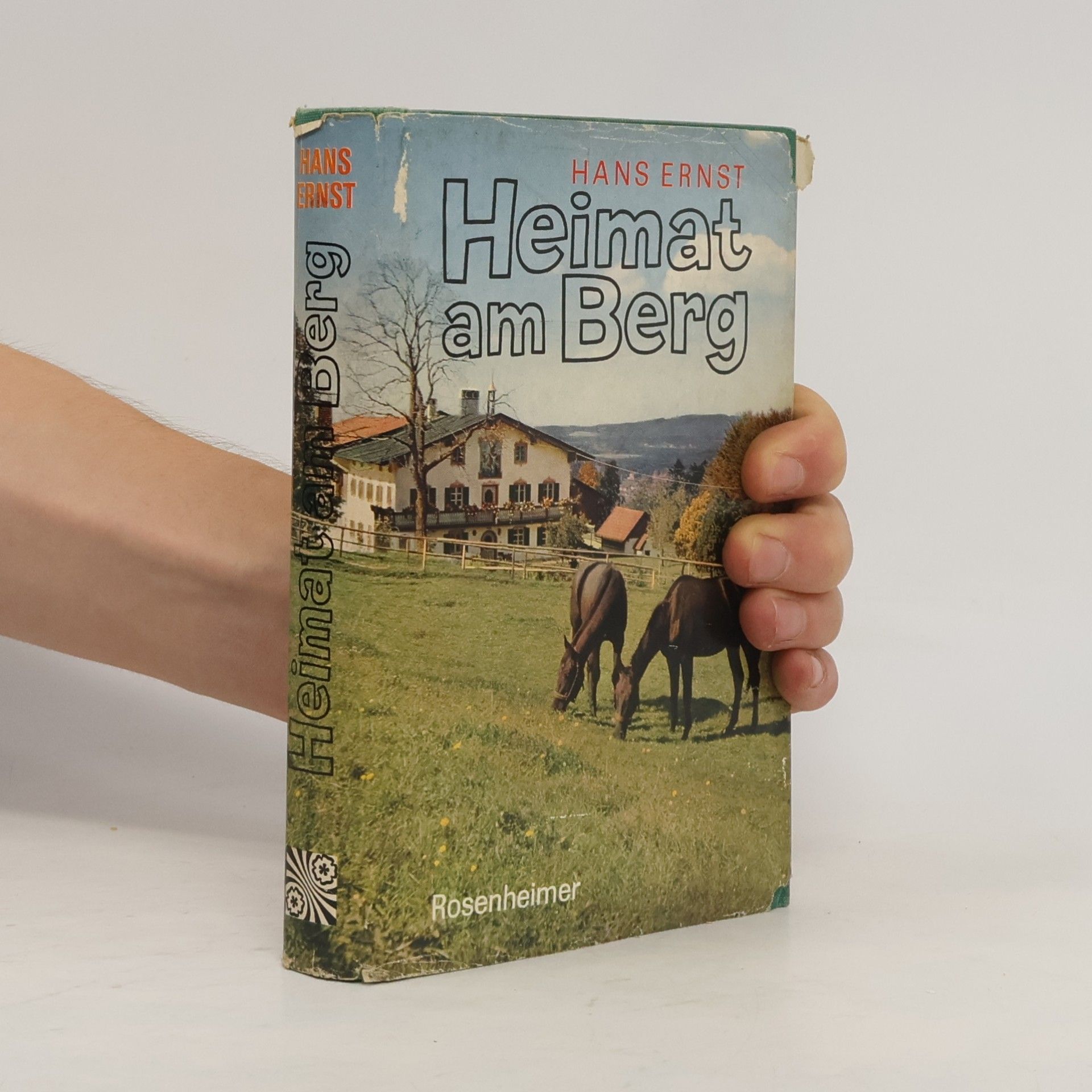 Heimat am Berg