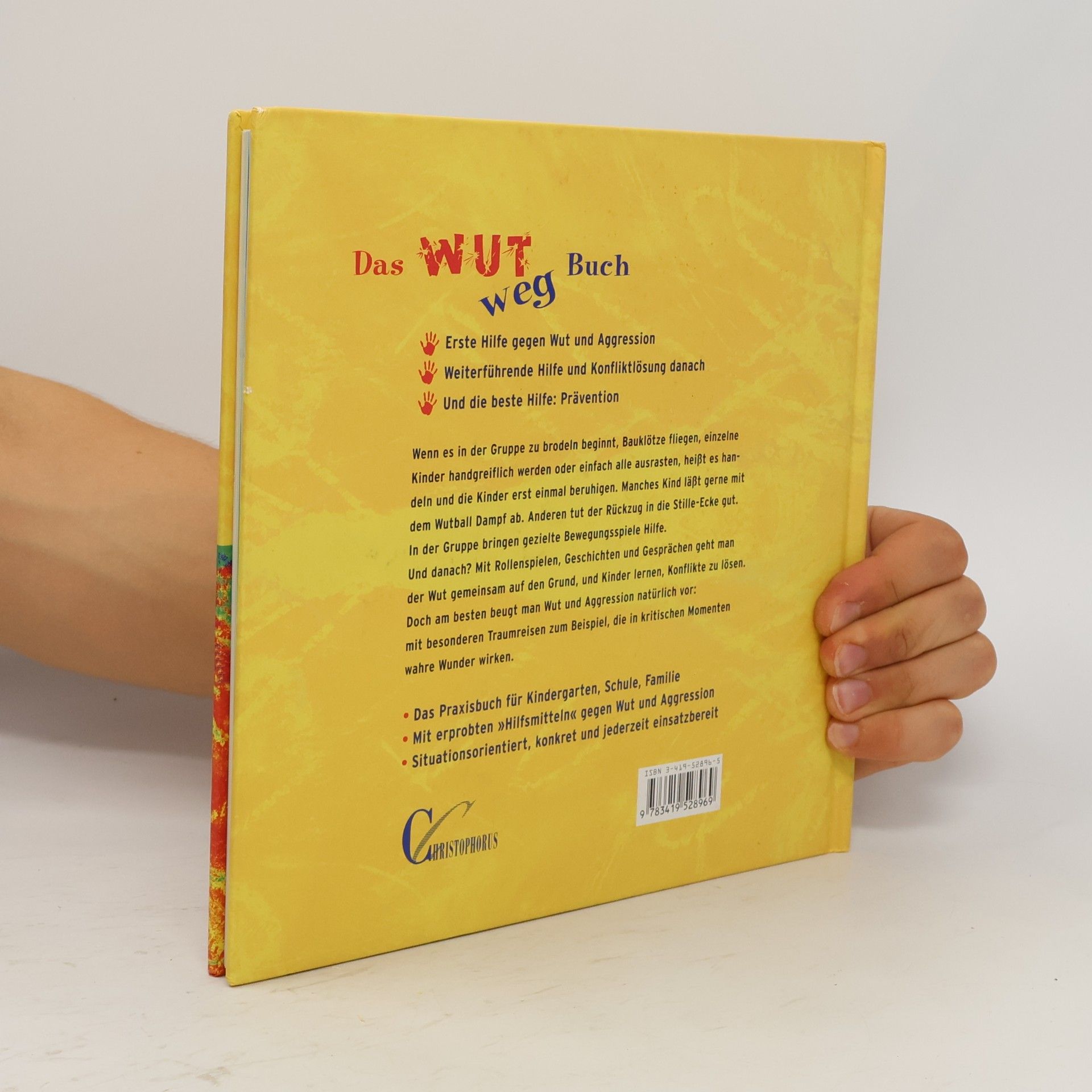 Thomas O. H. Kaiser Das Wut Weg Buch