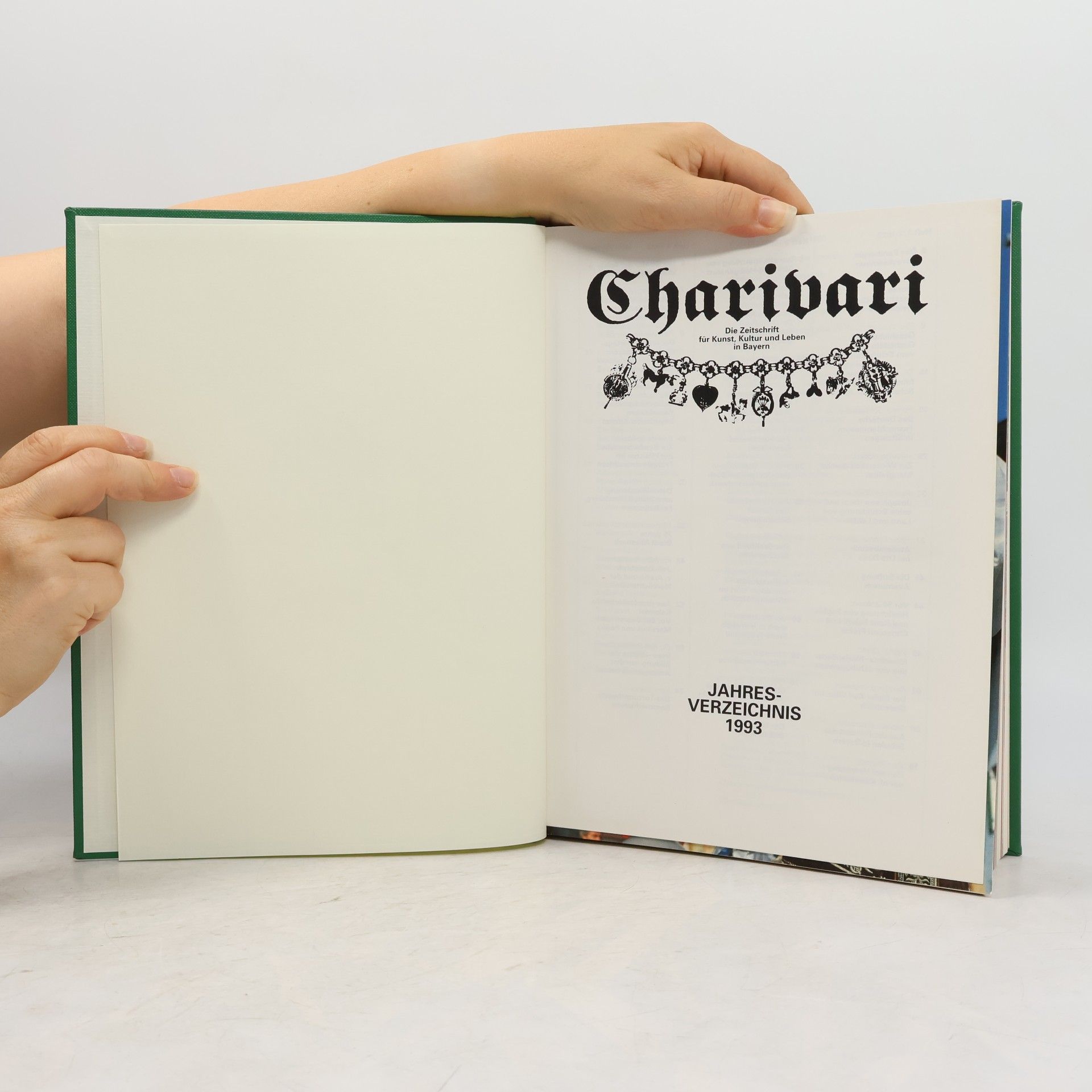 kolektiv Charivari. Jahresverzeichnis 1993
