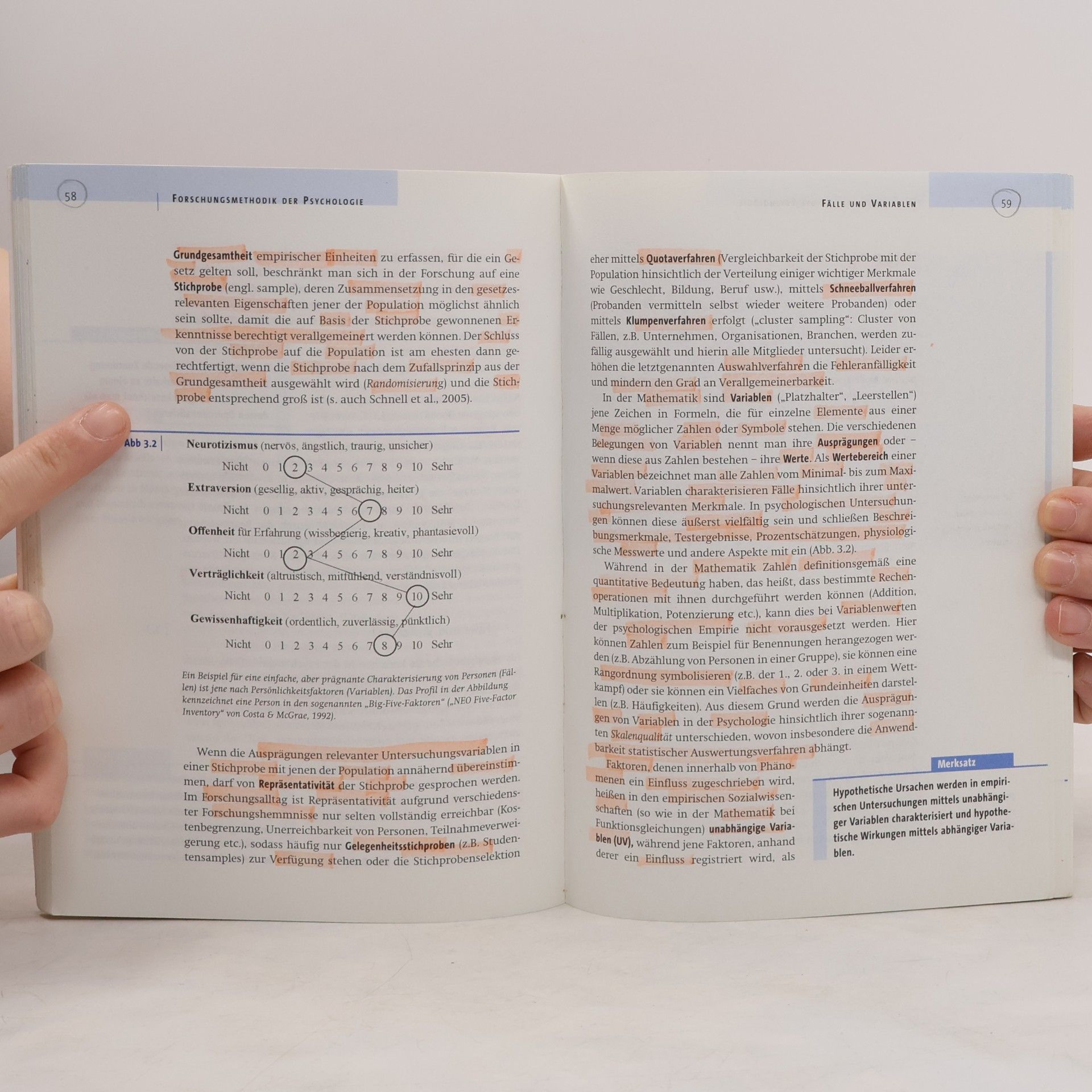 Rainer Maderthaner Psychologie
