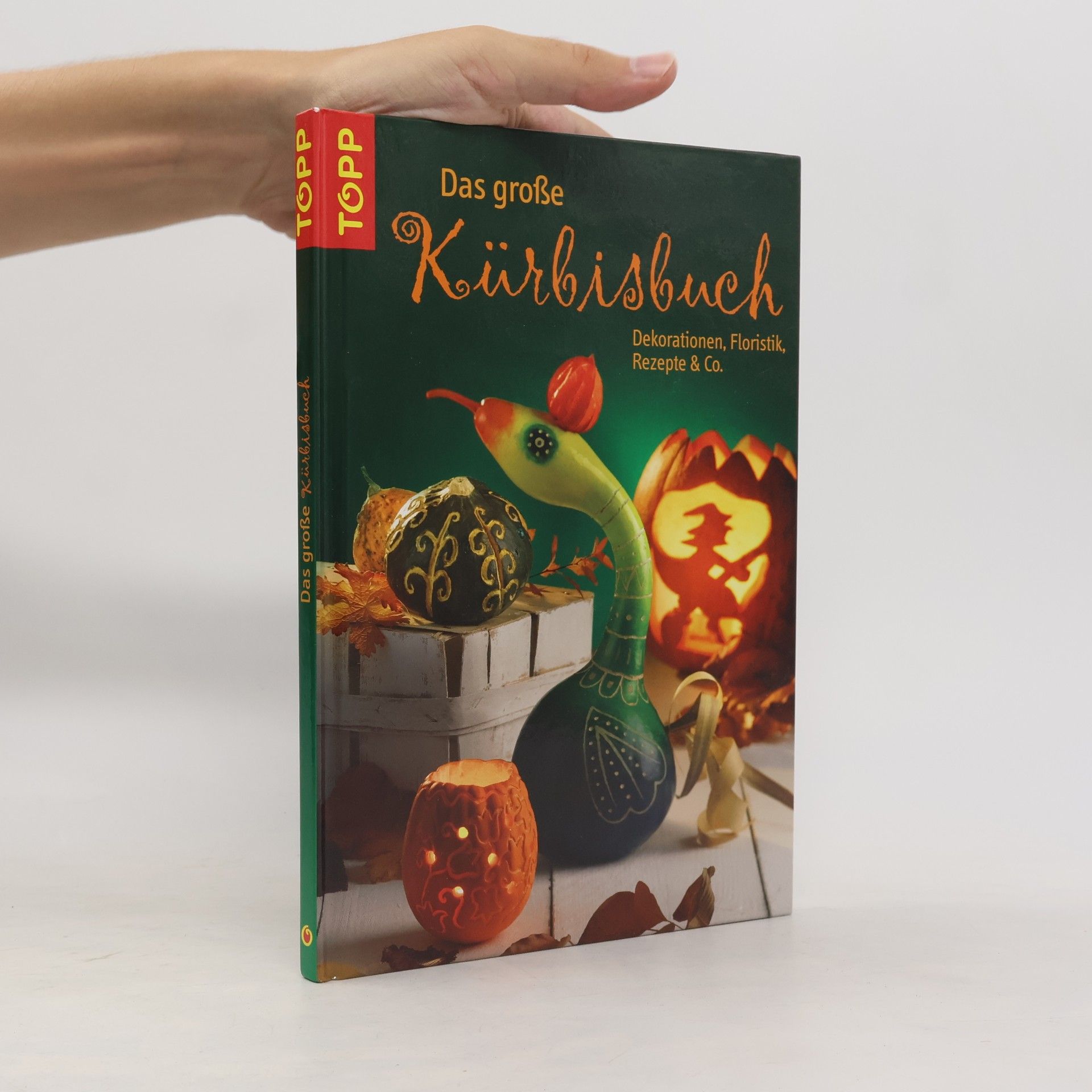 Stefan Hinner Das große Kürbisbuch