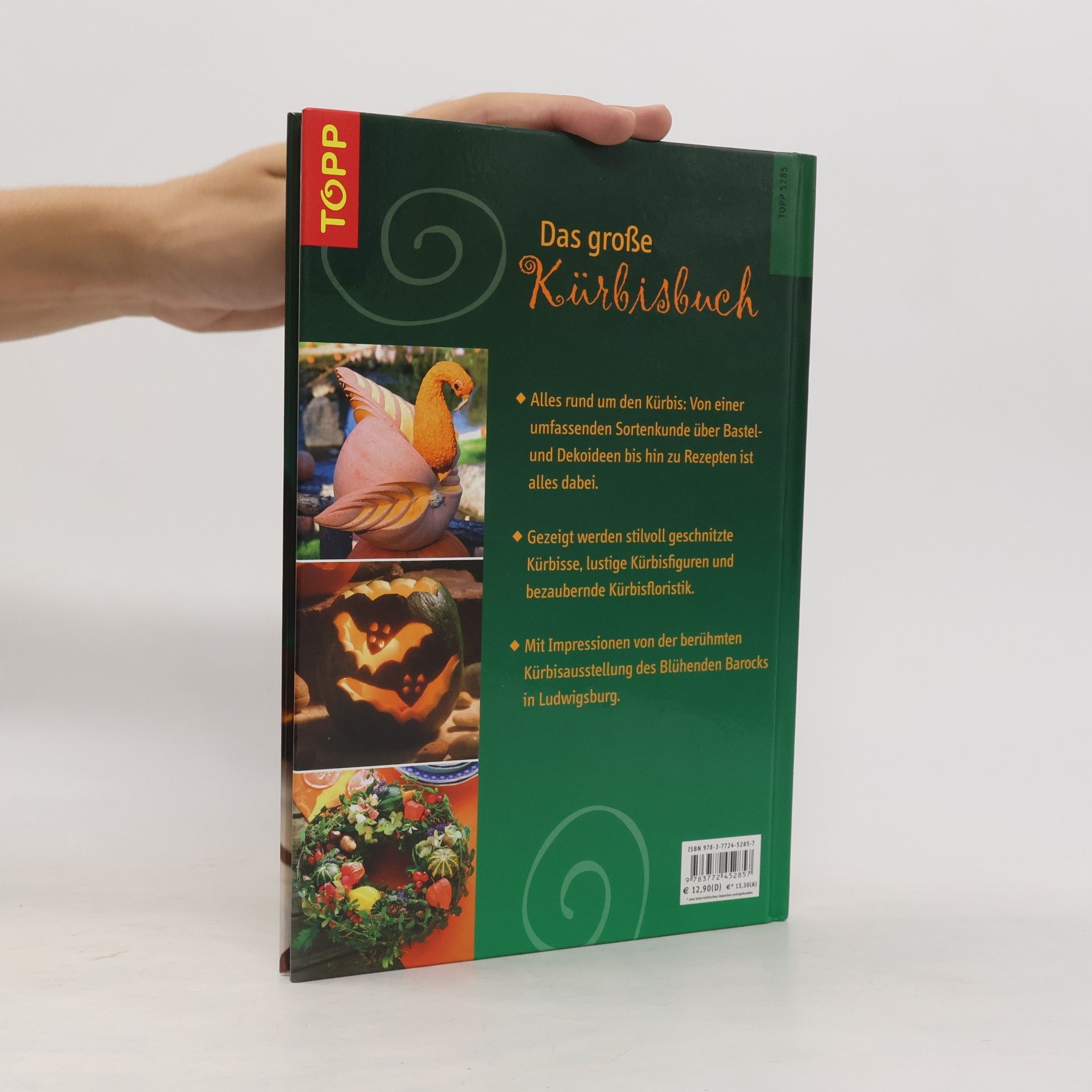 Sieglinde Holl Das große Kürbisbuch